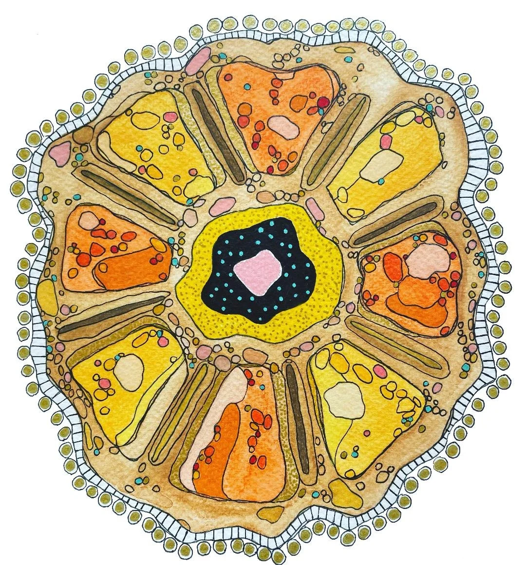 Cellular Floral Mandala: Sun Flower 12 x 12 Mixed Media on Watercolor Paper $125