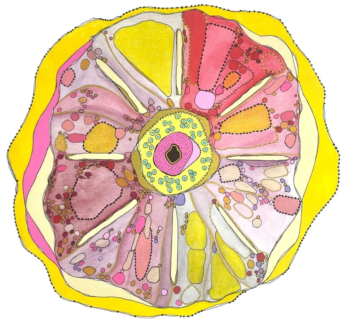 Floral Language of Cellular Healing 20h x 20w Watercolor Pencils, Colored Pencils, Paint Pens, Ink & Graphite on Watercolor Paper $450 Framed in White Wood with UV resistant anti-glare glass & 8-ply white mat