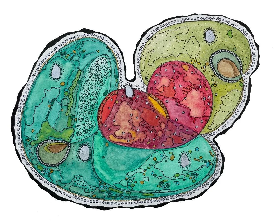 Lily Pad Heart Landing Mixed Media on Watercolor Paper $450  