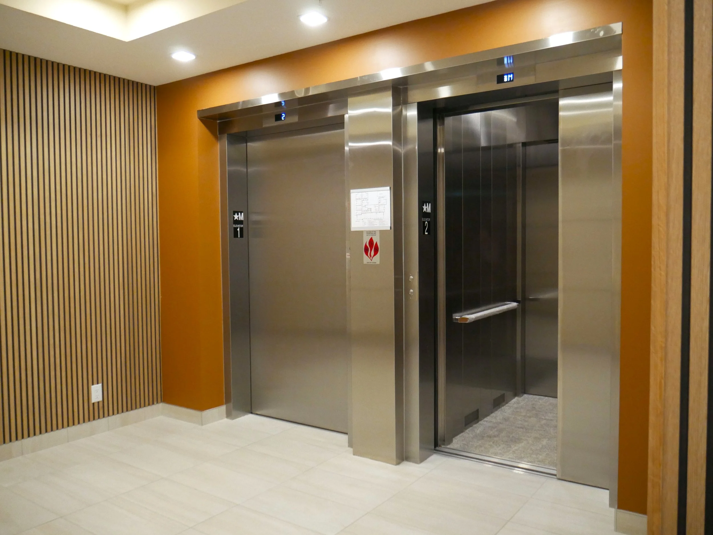 P1100775-1.JPG