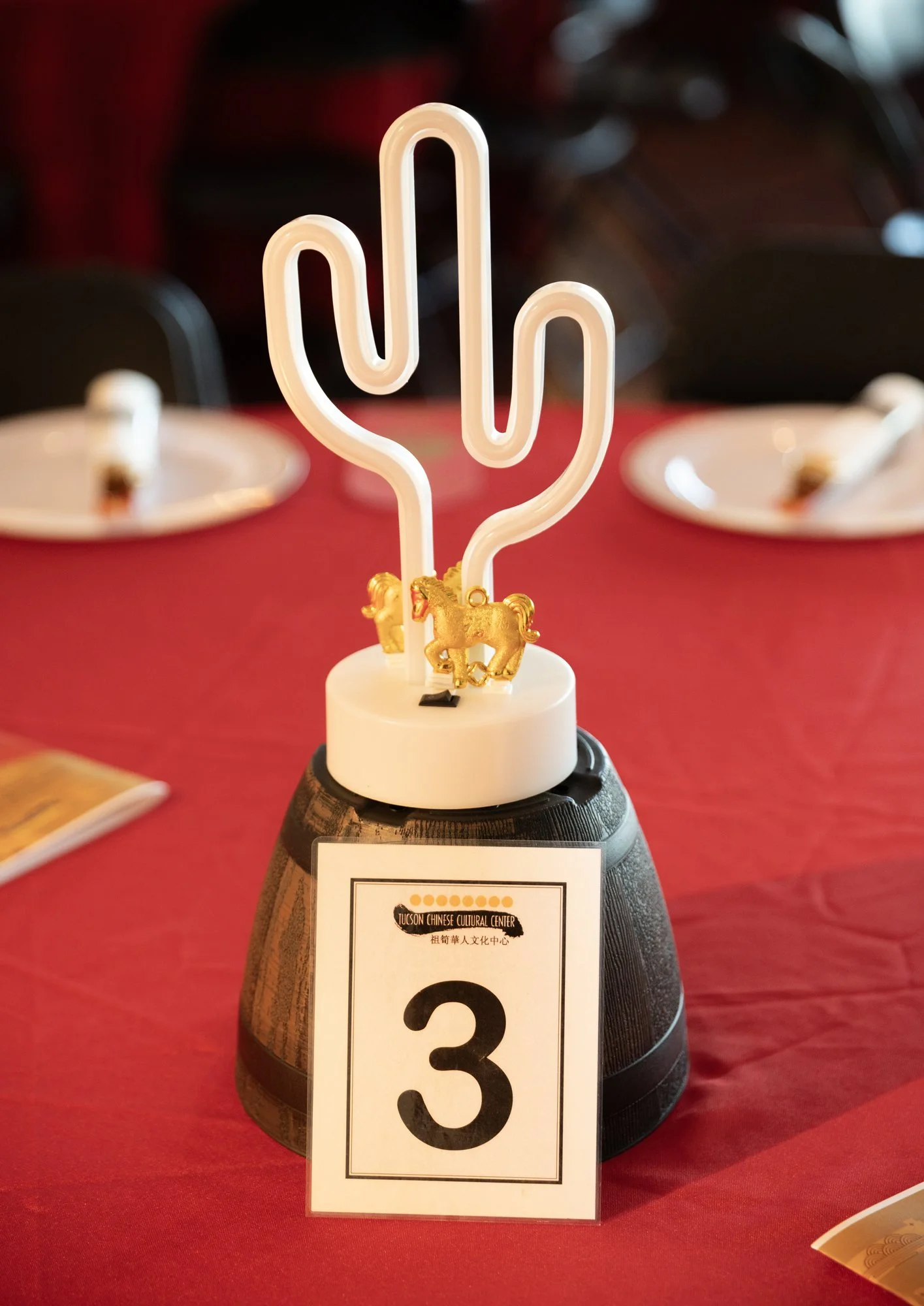 Tucson Chinese Cultural Center Lunar New Year of the Horse Gala 2026 16.jpg