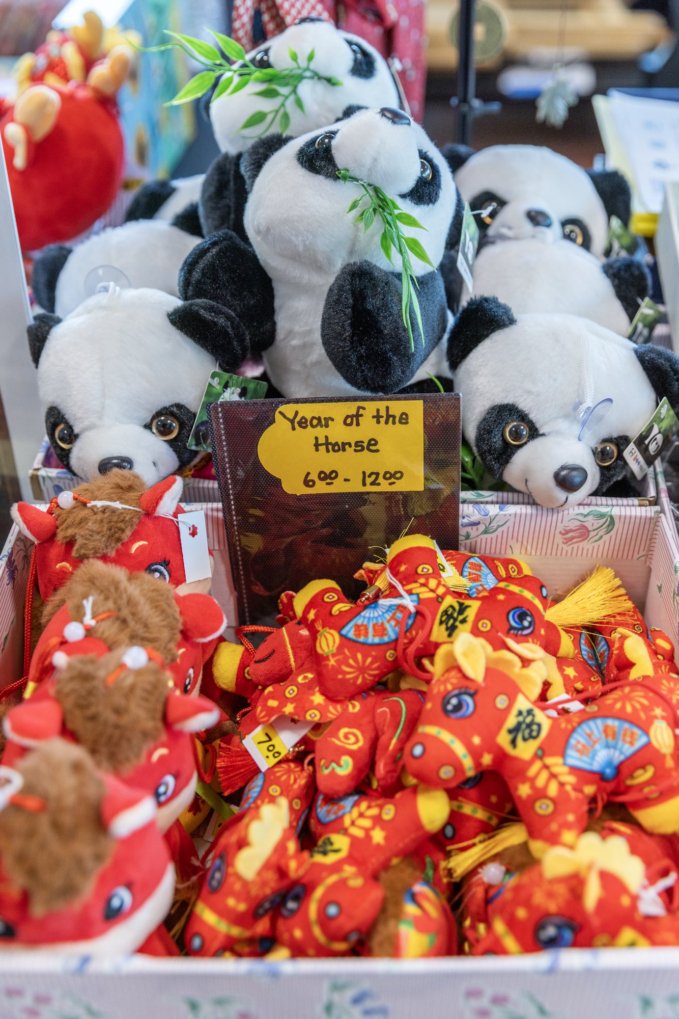 Tucson Chinese Cultural Center Lunar New Year of the Horse Gala 2026 23.jpg