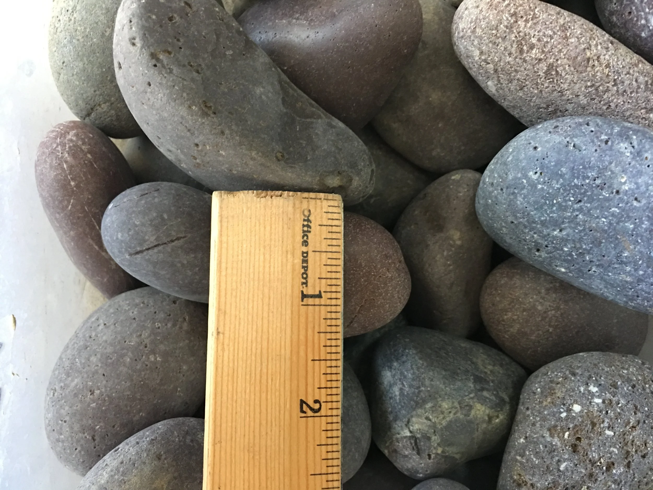 Red Mexican 1/2 Inch-1 Inch