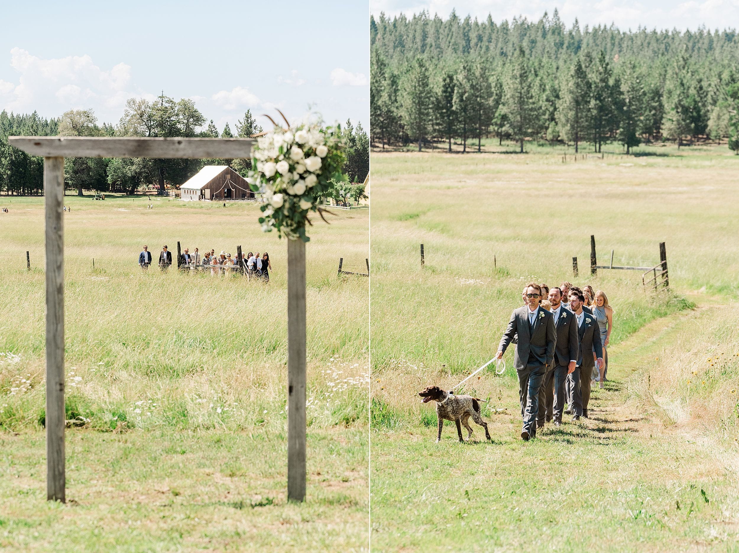 Guests and Wedding Party walking through meadow to the ceremony site.