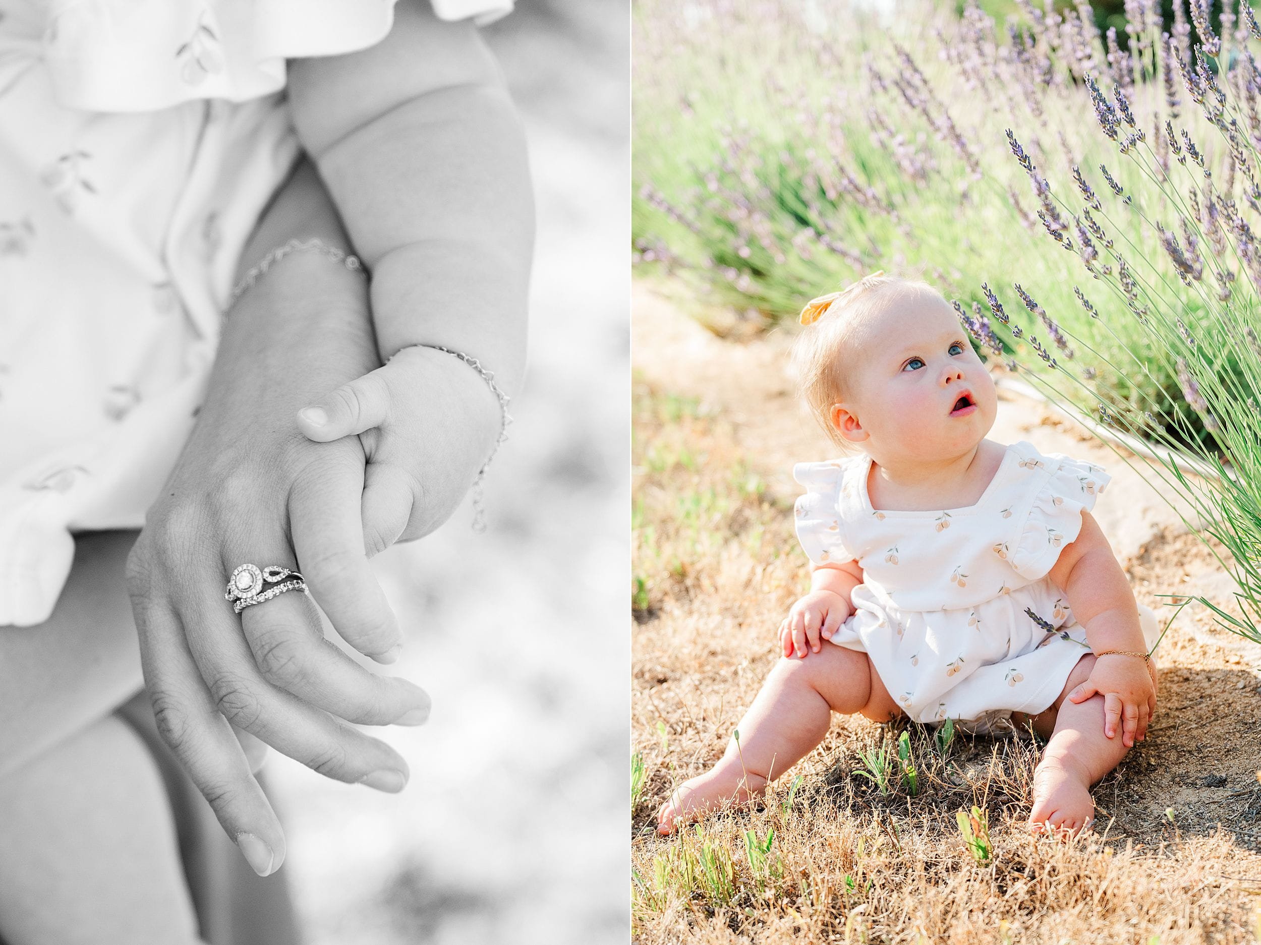 A tender scene with a black and white close-up of a baby holding an adult's hand on the left; a baby in white explores lavender fields on the right.