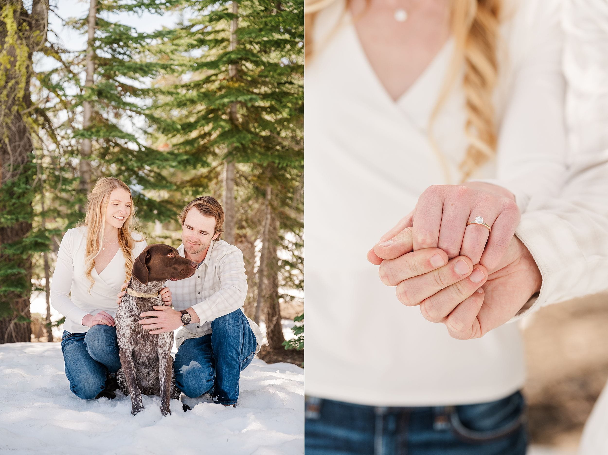 A couple kneels in the snow with their dog, surrounded by trees, smiling warmly. A close-up shows their hands holding, featuring an engagement ring.