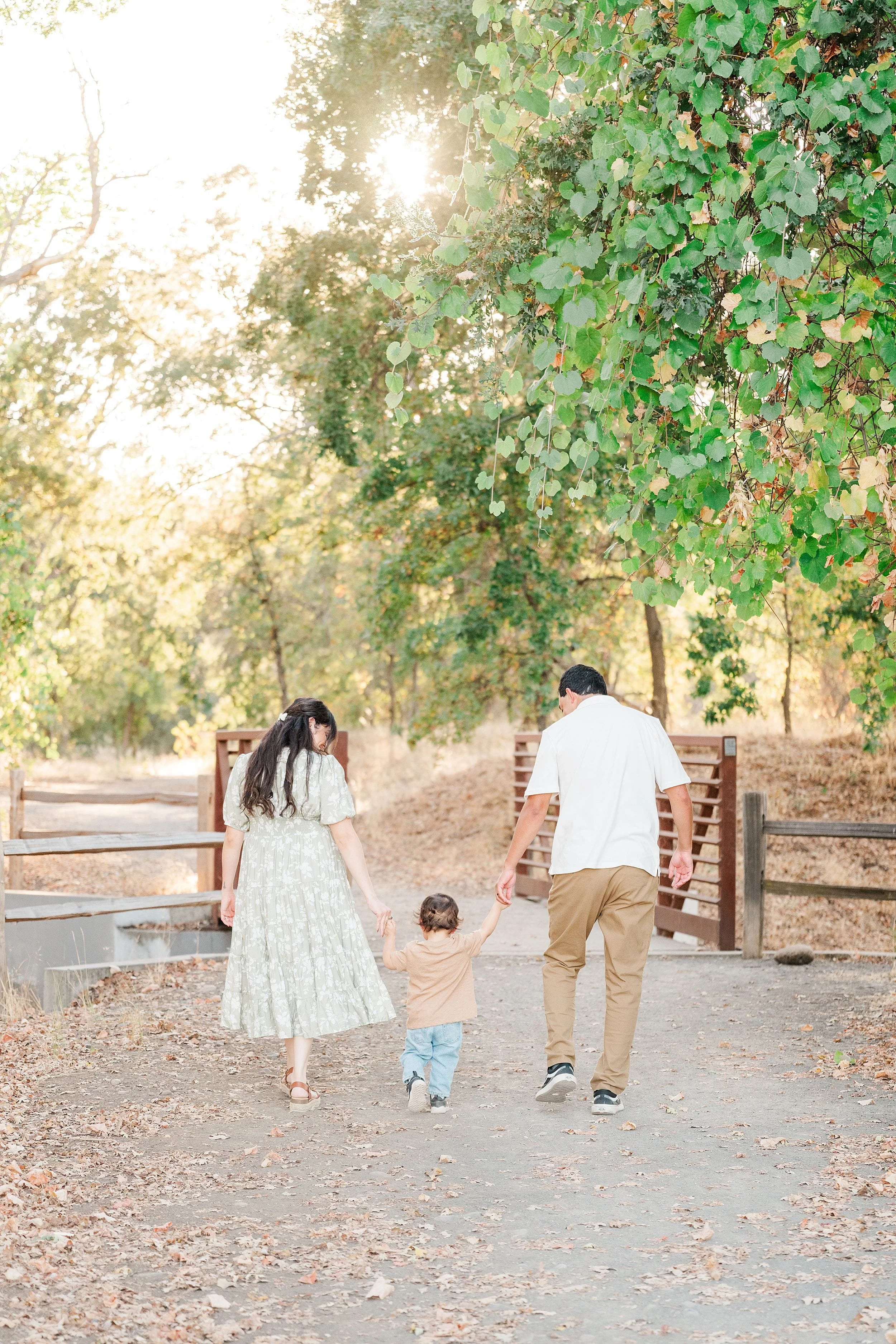 A family walks hand in hand along a leaf-strewn path beneath a leafy tree, sunlight filtering through the branches for a warm, peaceful autumn mood.