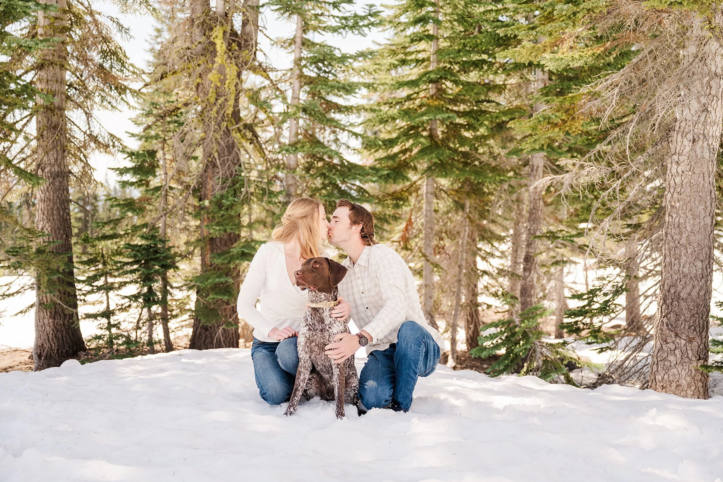 A couple sits in a snowy forest, sharing a kiss while holding their dog. The setting is serene with tall evergreen trees surrounding them.
