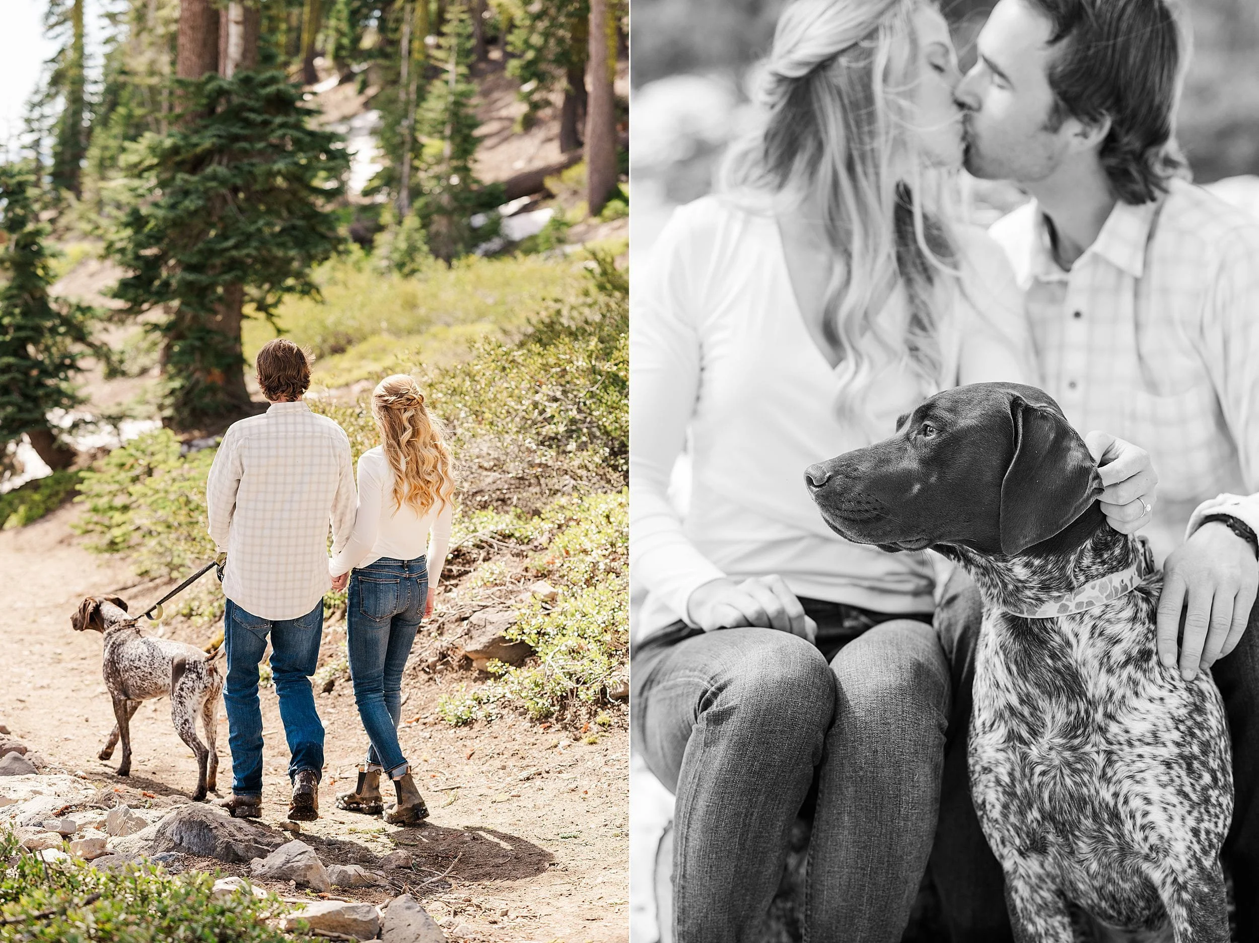 A couple walks a dog on a forest trail. On the right, a black and white photo captures them kissing while seated with the dog, evoking warmth.