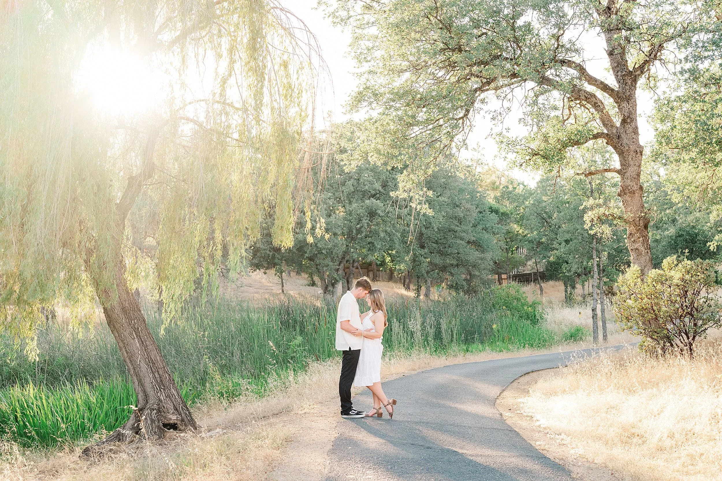 A couple embraces on a sunlit path lined with lush greenery and tall trees, exuding warmth and romance. Soft sunlight filters through the branches.