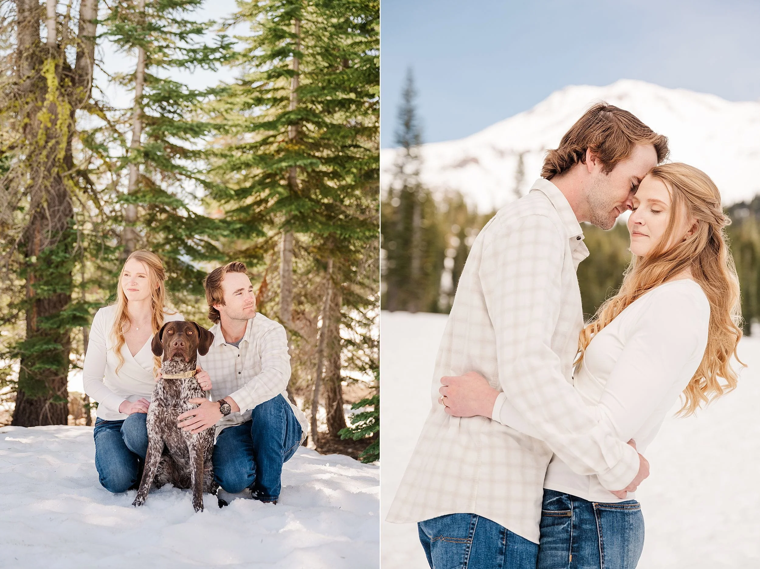 A couple in a snowy forest with a brown dog, surrounded by pine trees, convey serenity. In another scene, they embrace lovingly near snow-capped mountains.