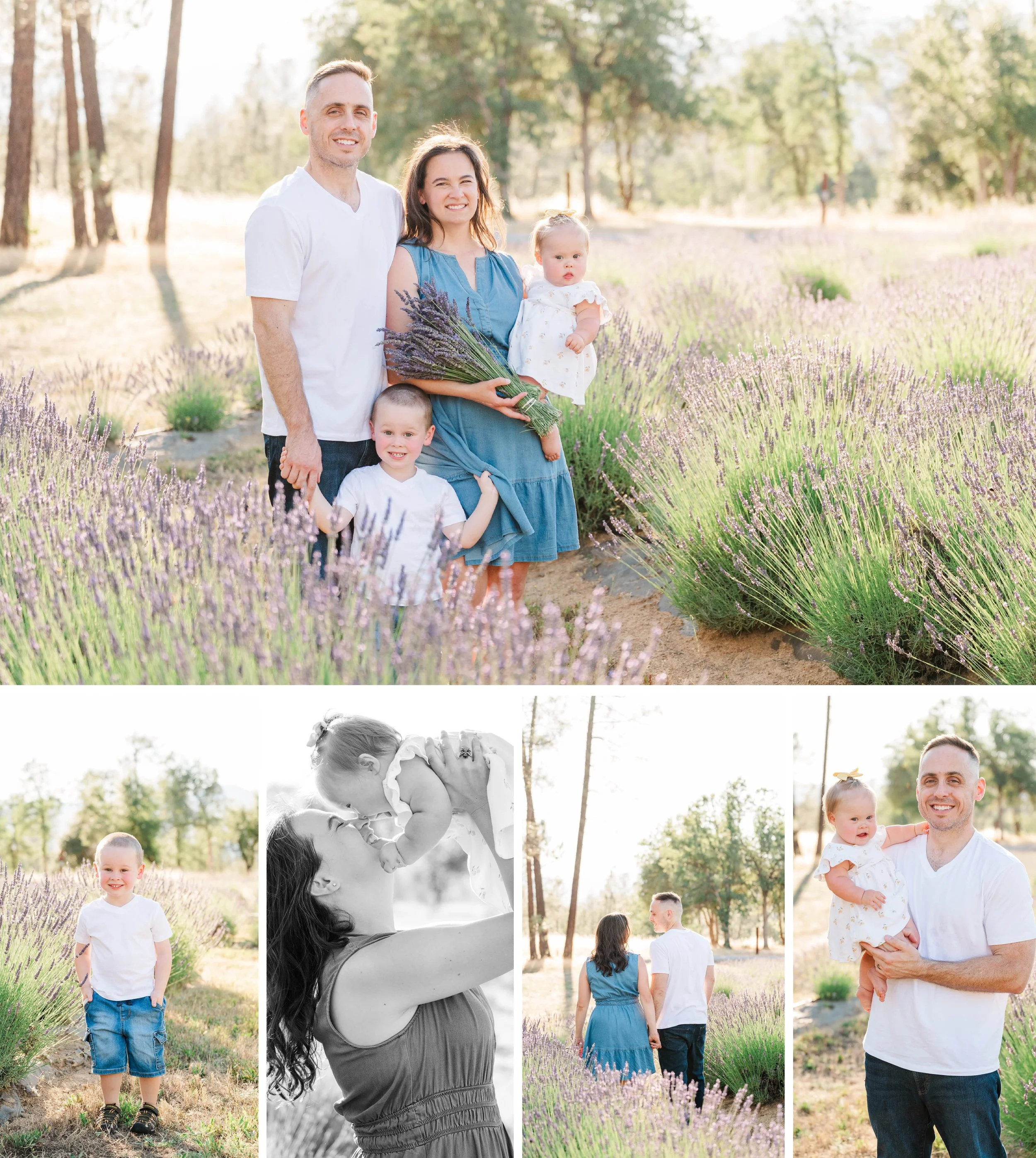 Lavender Field Family Session at 29 Rows Lavender Farm