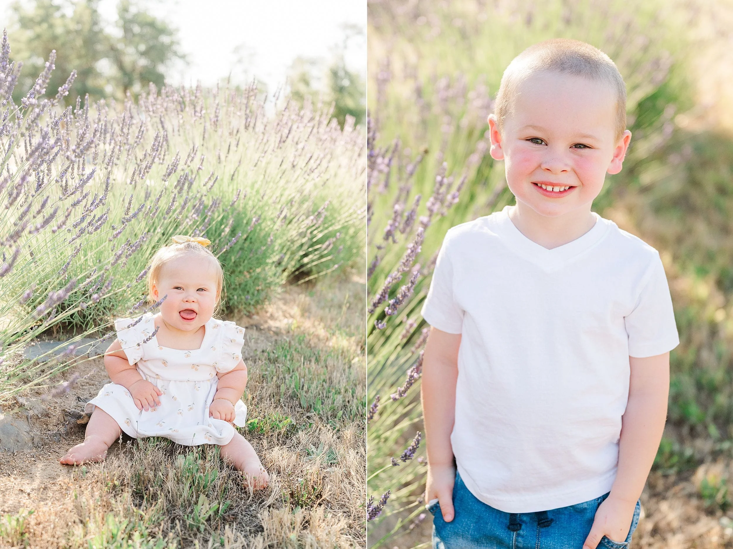 A baby and a young child pose in a sunlit field of lavender. The baby sits on the grass, smiling, while the child stands happily in a white shirt.