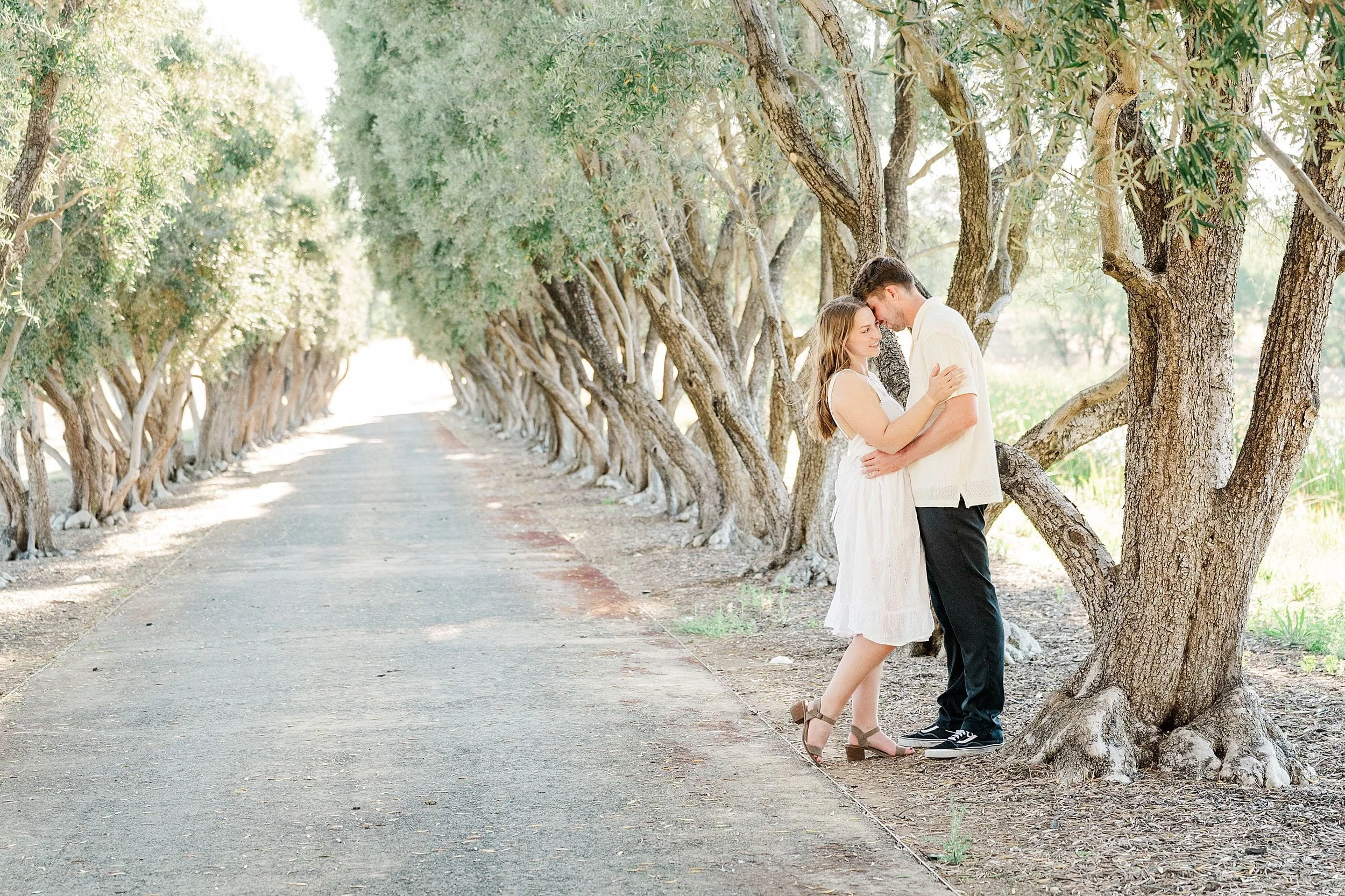 A couple embraces tenderly on a tree-lined path, dappled in sunlight. The scene conveys romance and tranquility, with trees creating a natural archway.