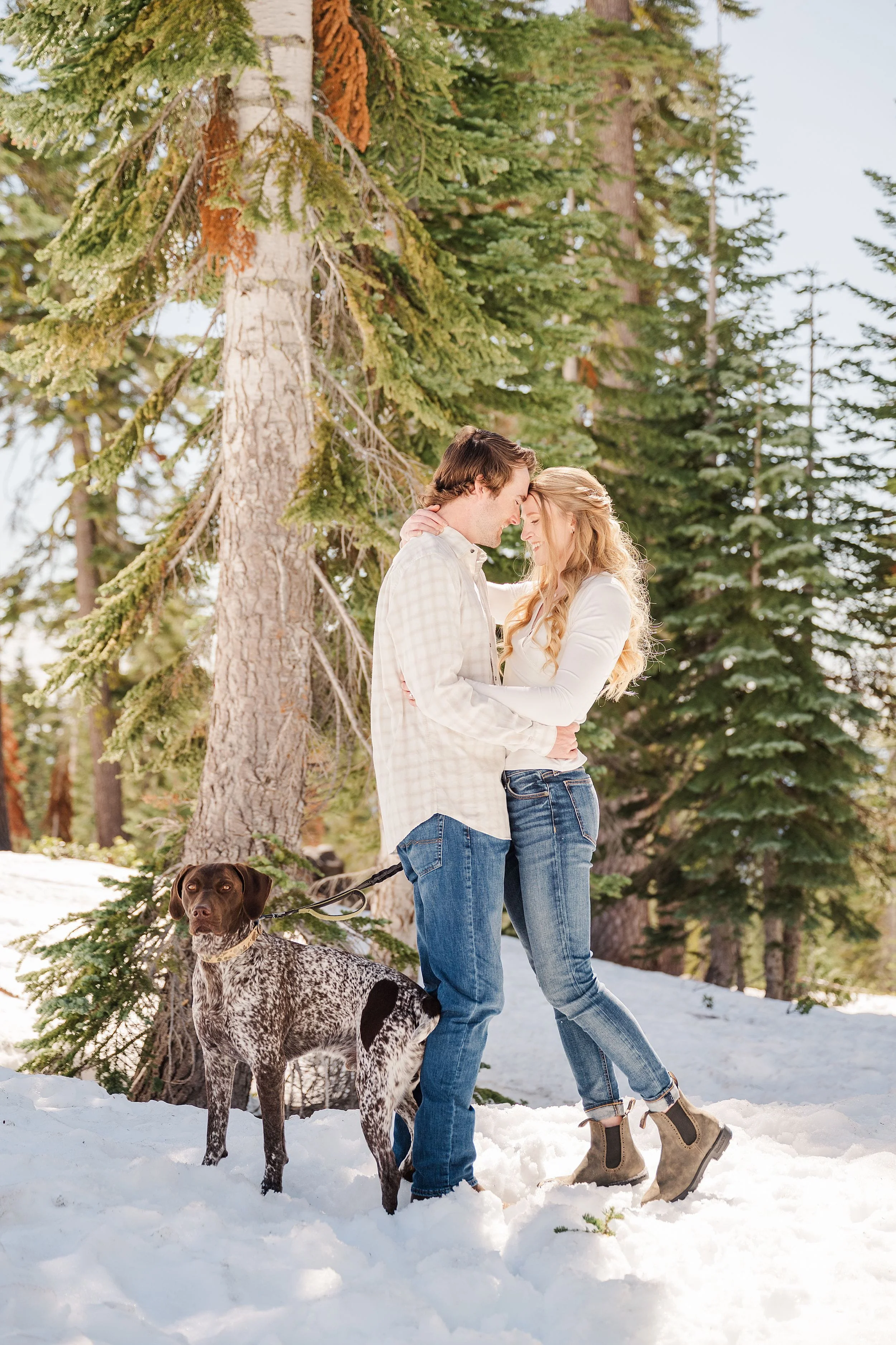 A couple embraces affectionately in a snowy forest, surrounded by tall pines. They are dressed in casual winter attire, and a dog stands beside them.