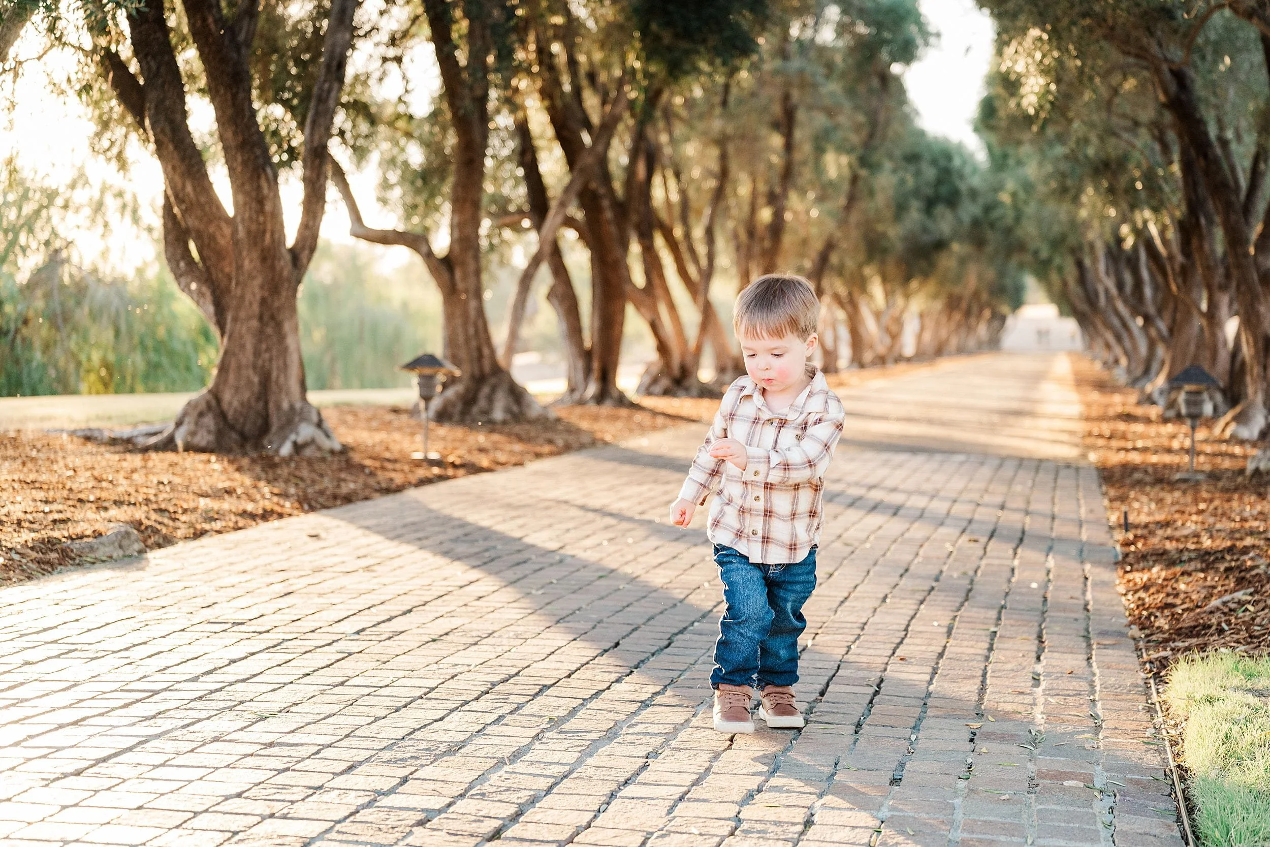 A young child in a plaid shirt and jeans walks along a sunlit, tree-lined brick path, looking down in a calm, warm outdoor scene.