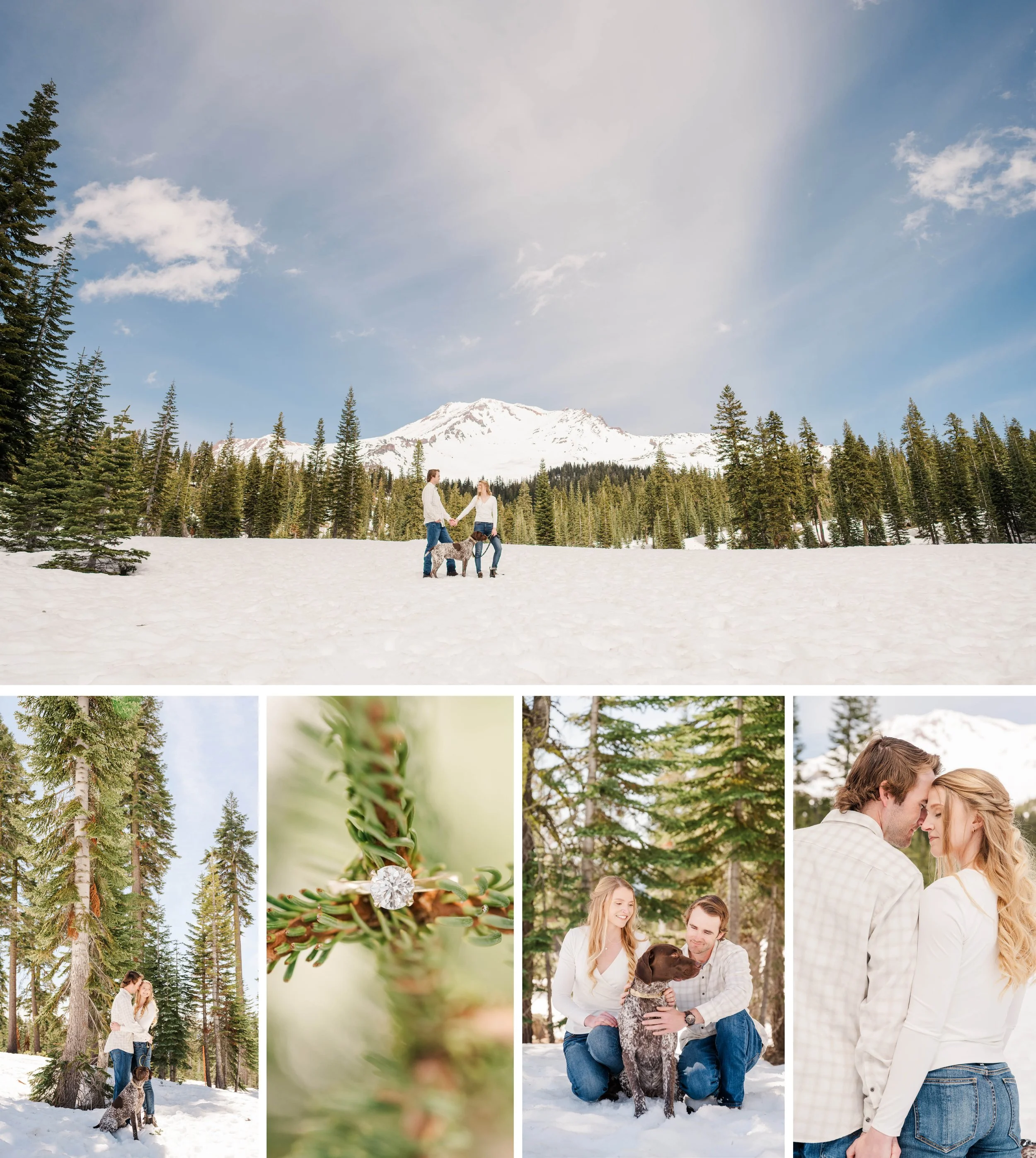 Snowy Mt. Shasta Engagement Session at Bunny Flats Trailhead