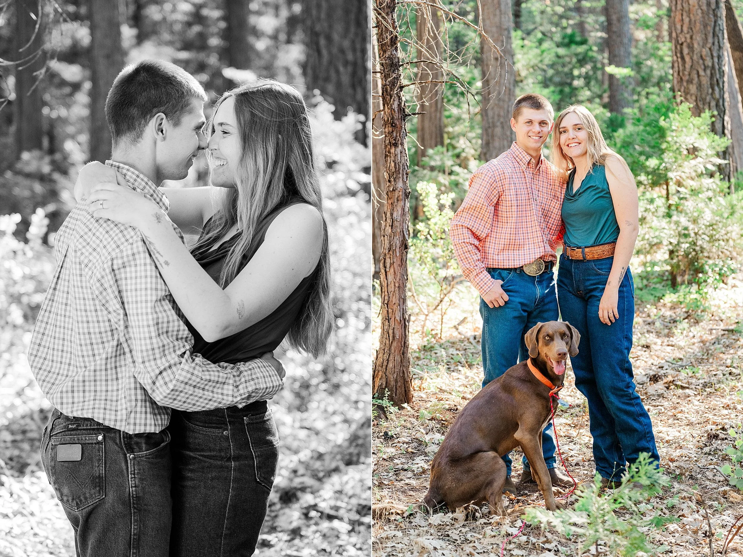 Engaged couple posing with their brown dog in a forest clearing during their Whitmore engagement session.