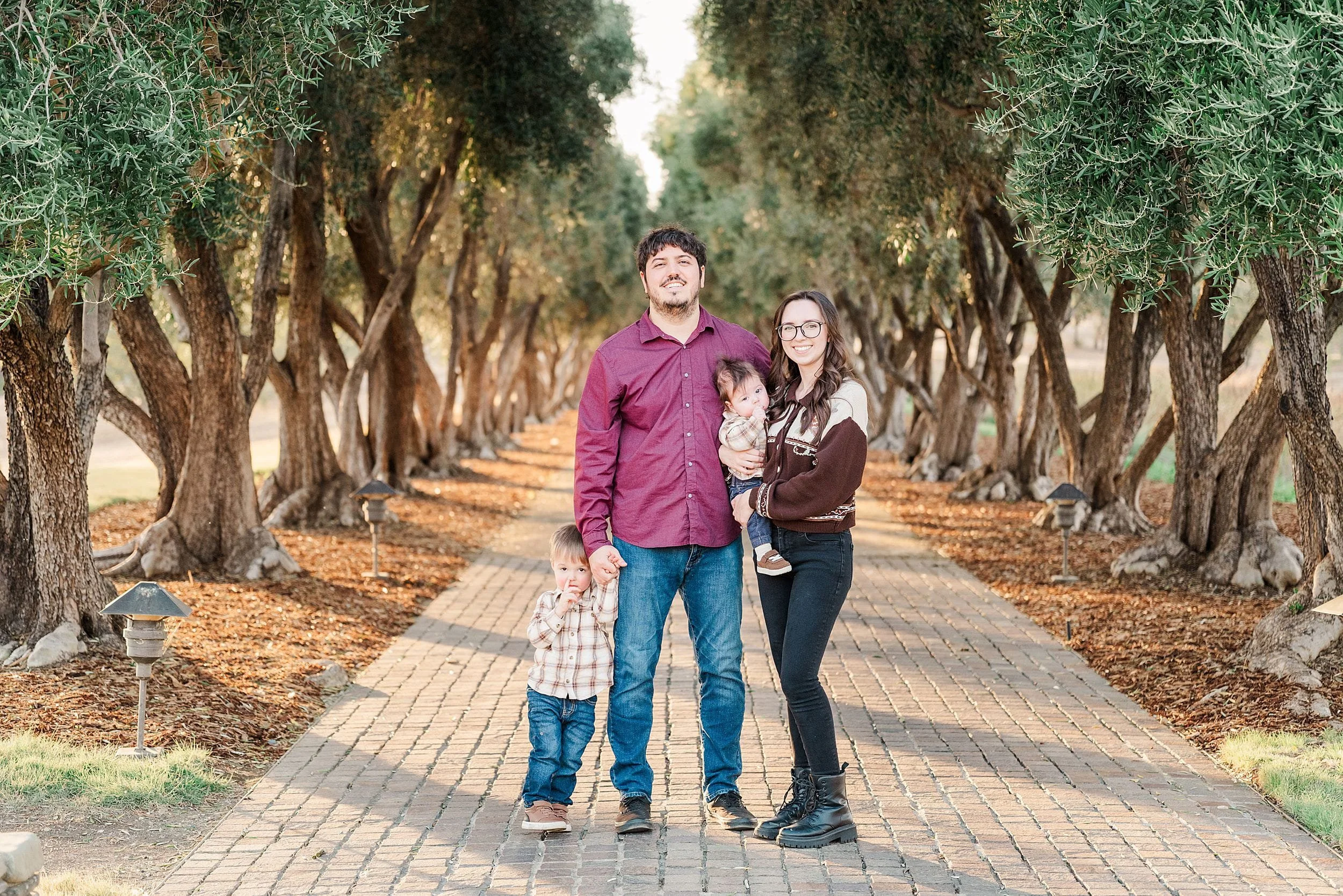 A smiling family of four poses on a brick path beneath rows of olive trees, sharing a warm, relaxed moment in a sunlit grove.
