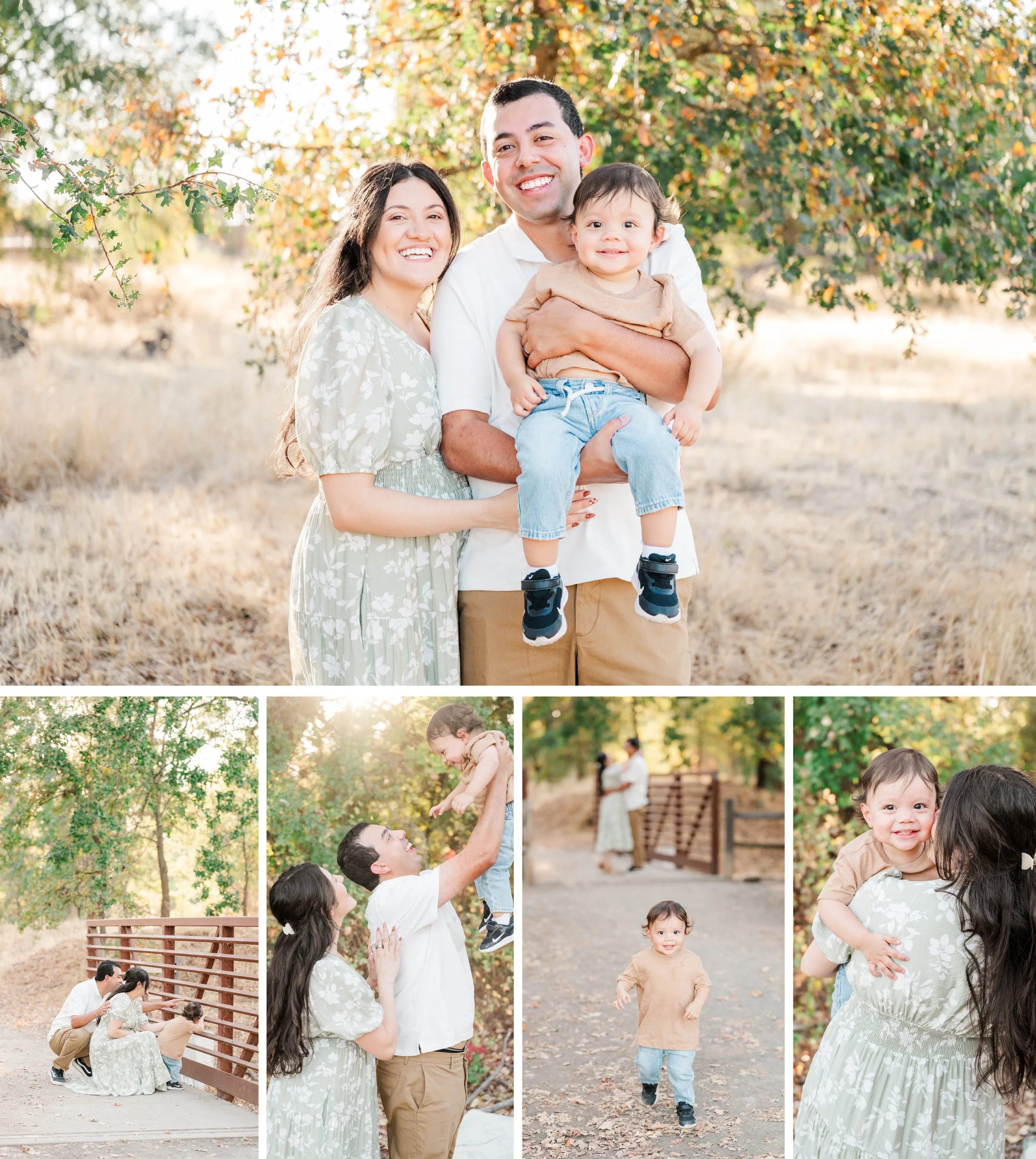 Verbena Fields Family Session in Chico, CA