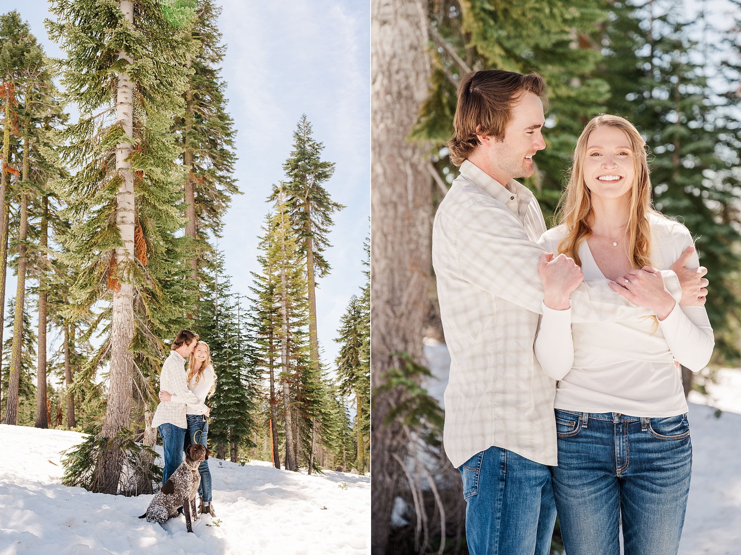A couple stands embraced in a snowy forest, smiling joyfully. A dog sits beside them. Tall evergreens and bright sunlight create a serene, happy atmosphere.