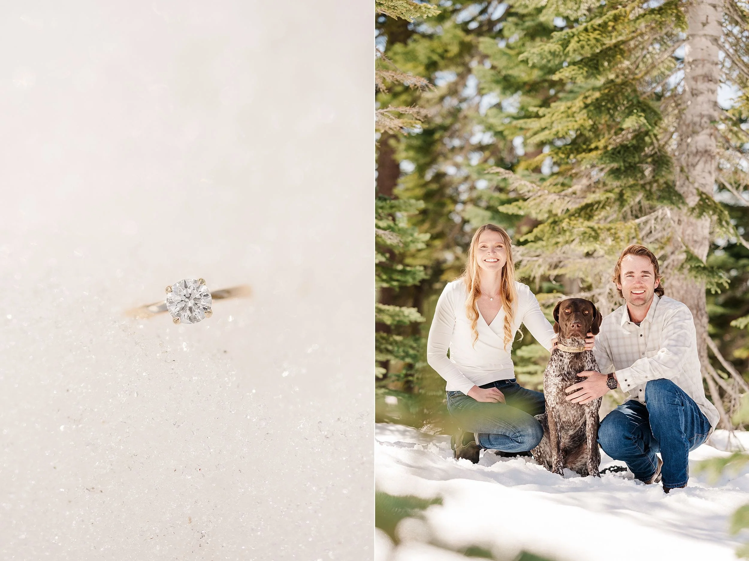 Close-up of a diamond ring on snow next to a smiling couple and their dog in a snowy forest. They are dressed casually, conveying warmth and joy.