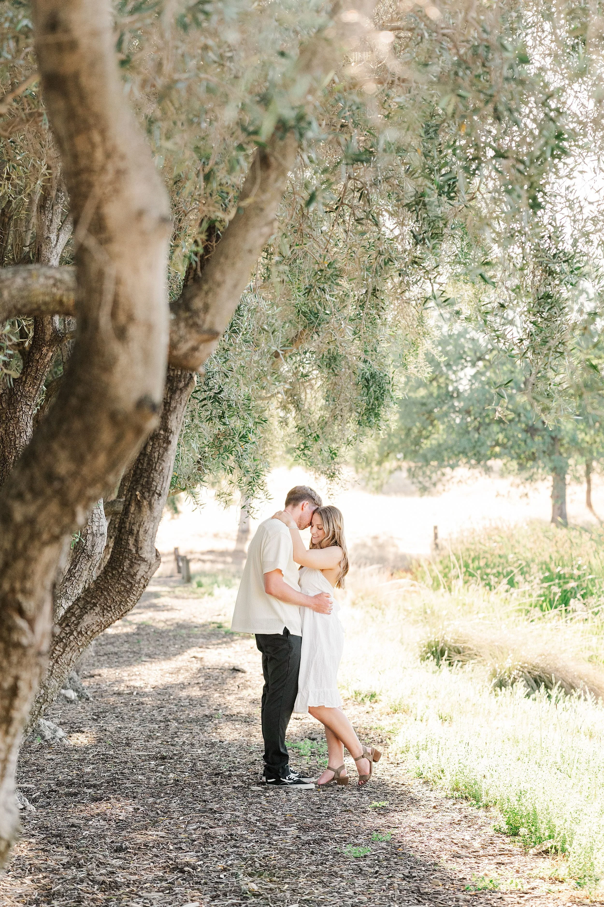 A couple embraces under a canopy of lush trees on a sunlit path. Their intimate pose conveys a sense of romance and tranquility.