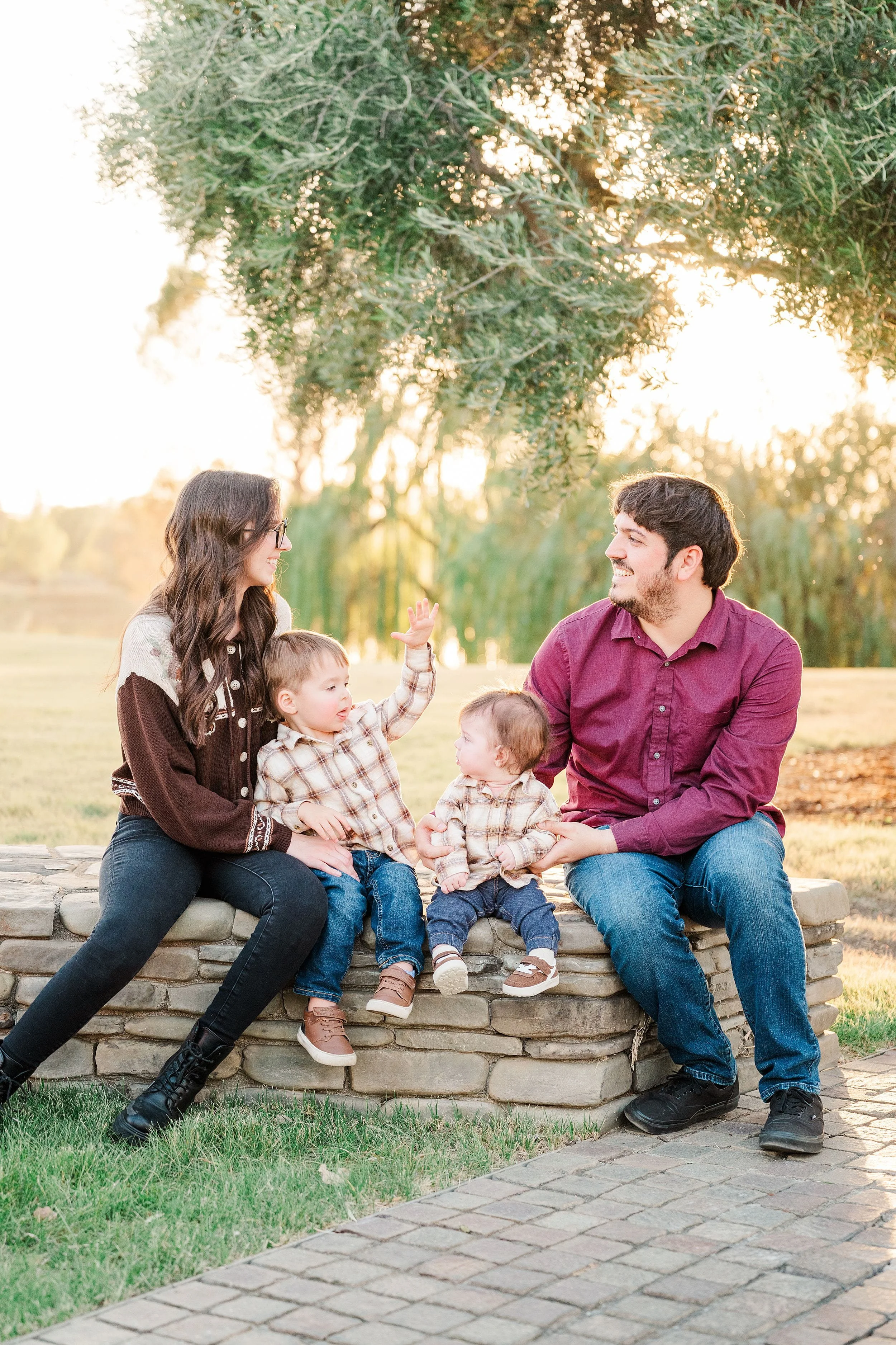 A family of four sits on a low stone wall beneath a tree at golden hour, smiling at one another as a toddler reaches up in a warm outdoor portrait.