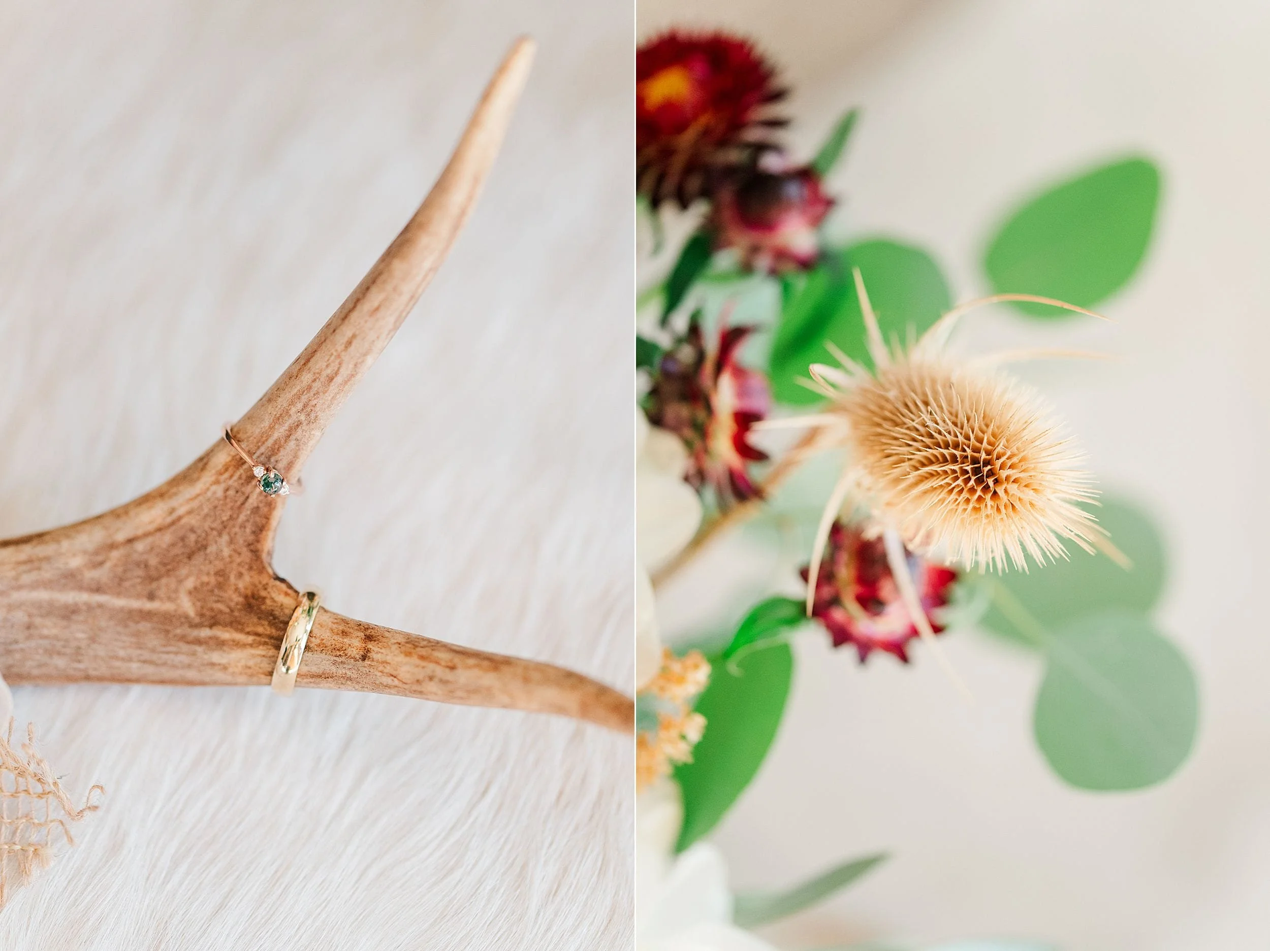 A delicate gold ring rests on a pale antler beside a spiky cream flower and green leaves, creating a soft, natural bridal still life.