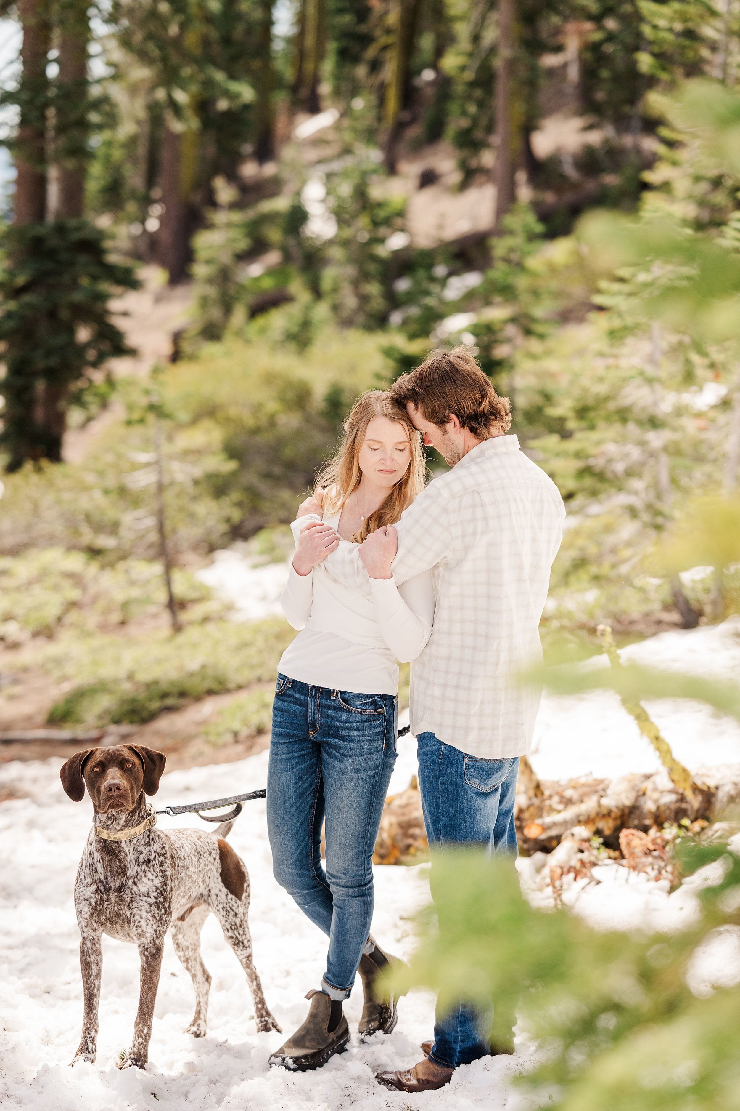 A couple in casual clothes holds hands, standing on snow in a forest. A dog on a leash stands beside them. The setting feels peaceful and intimate.