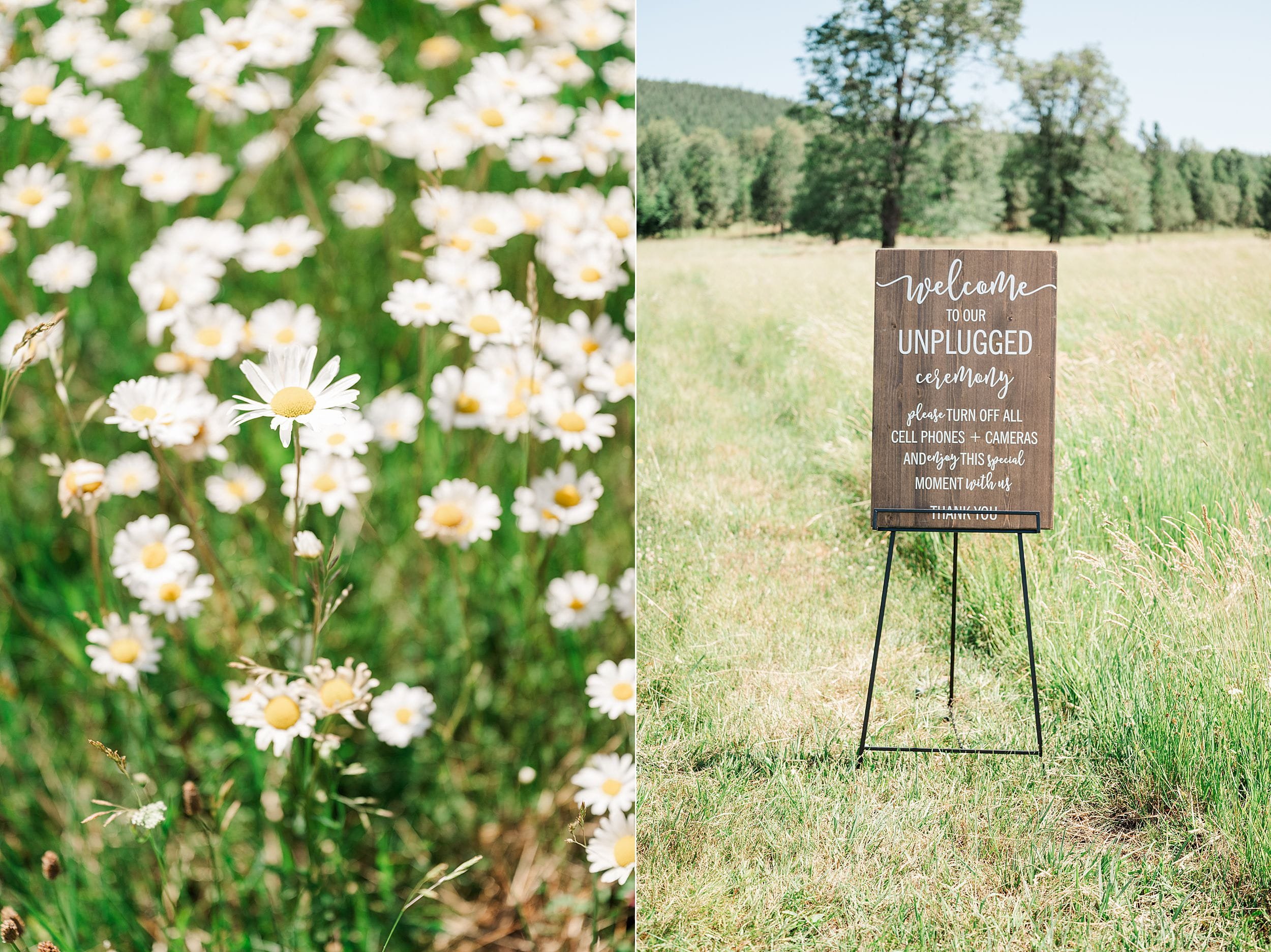 White wildflowers next to image of unplugged ceremony wooden sign on black easel.