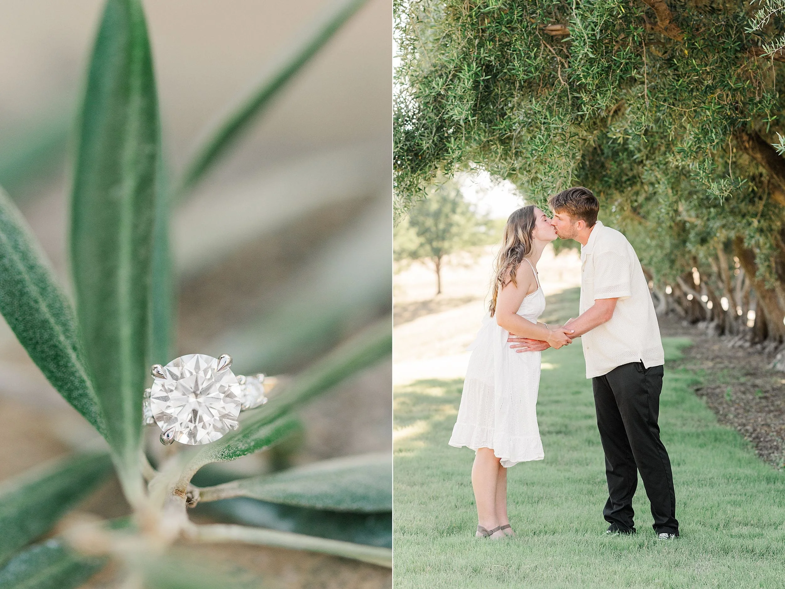 Close-up of an engagement ring resting on a green leaf, paired with a photo of a couple sharing a kiss under a tree. Emotions are romantic and joyful.