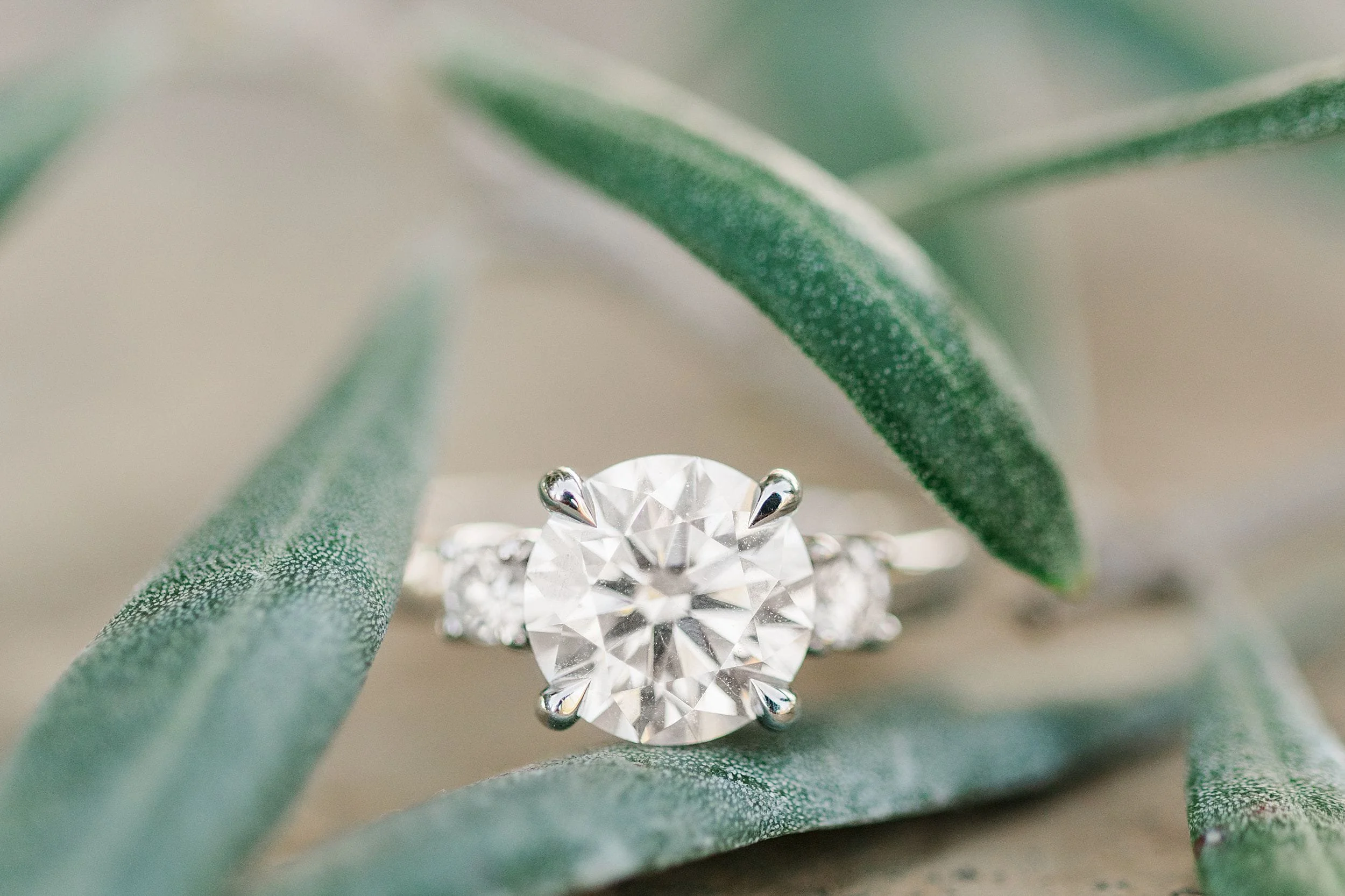 A sparkling diamond engagement ring rests elegantly on soft green leaves, highlighting its brilliance and creating a sense of romance and elegance.