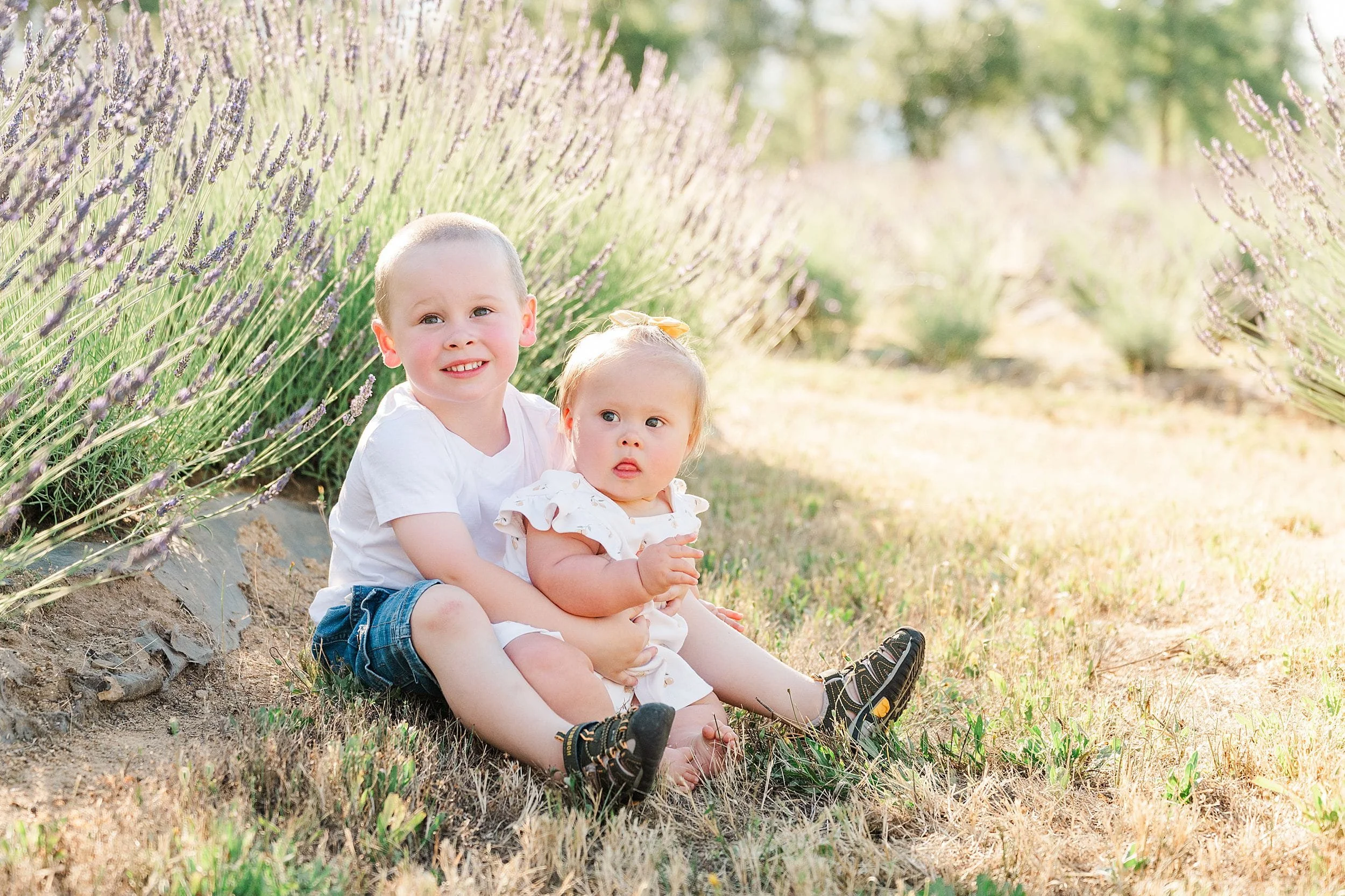 Two young children, a boy and a toddler girl, sit happily on grass near lavender bushes in a sunlit field. The scene conveys warmth and joy.