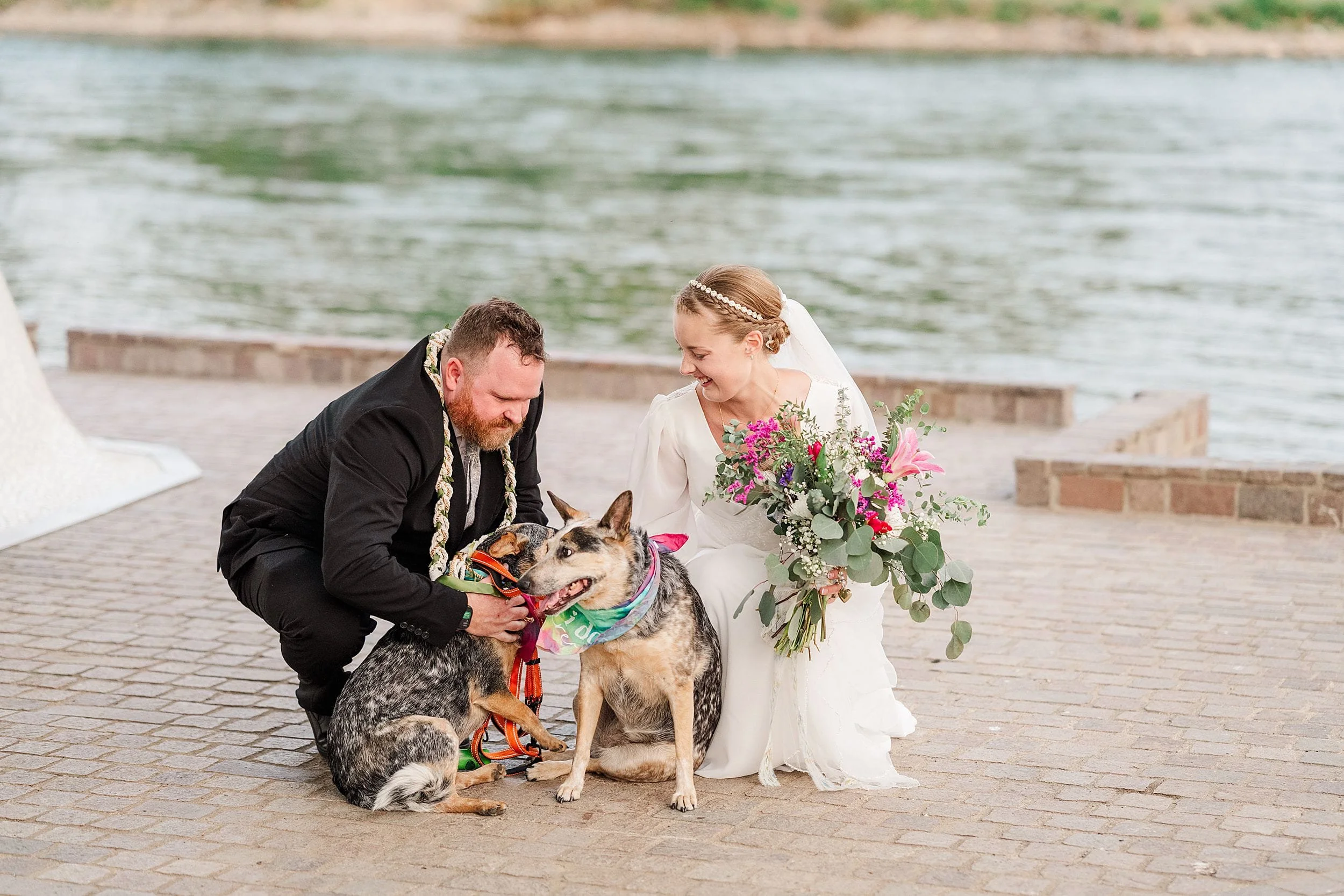 A bride in a white gown and groom in a black suit joyfully pet two dogs by a riverside. The bride holds a vibrant bouquet, conveying warmth and happiness.