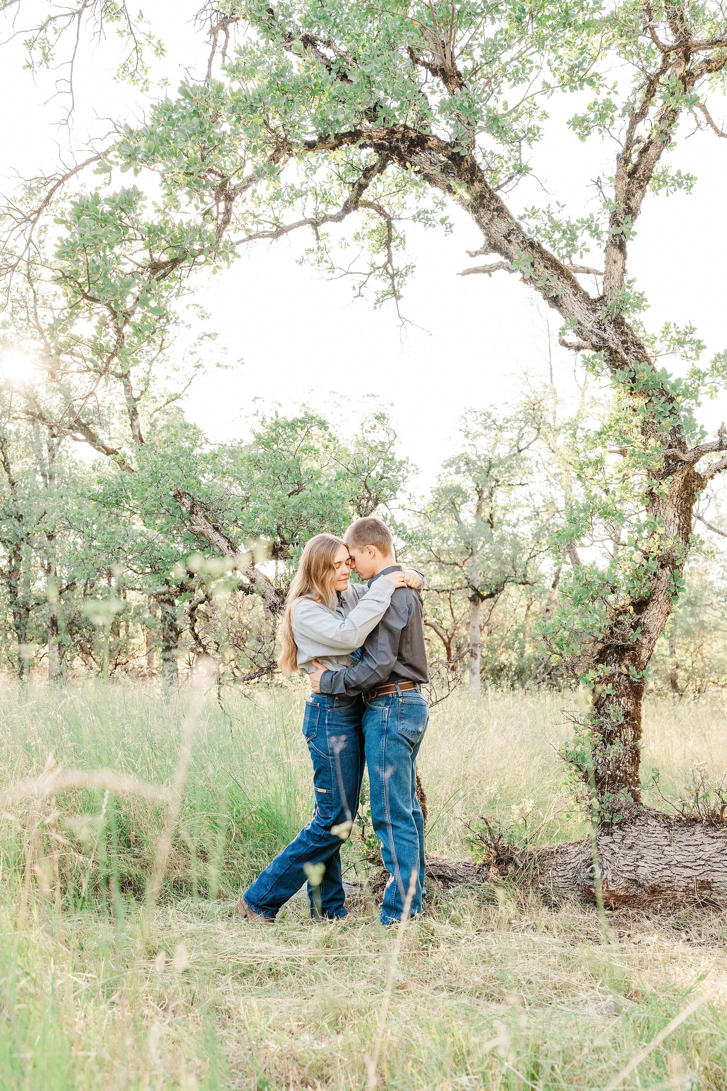Engaged couple embracing beneath a sprawling oak tree in a grassy meadow during golden hour, surrounded by soft natural light and lush greenery in Whitmore, California.
