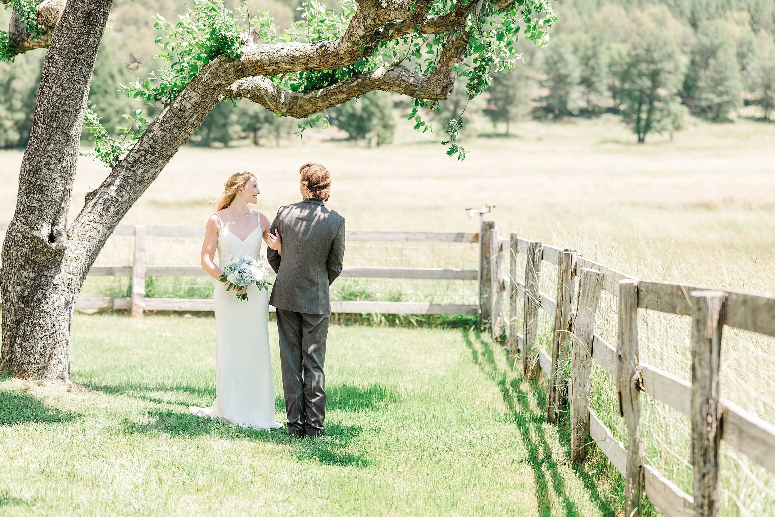 Bride and groom walking hand in hand through a sunlit mountain field.