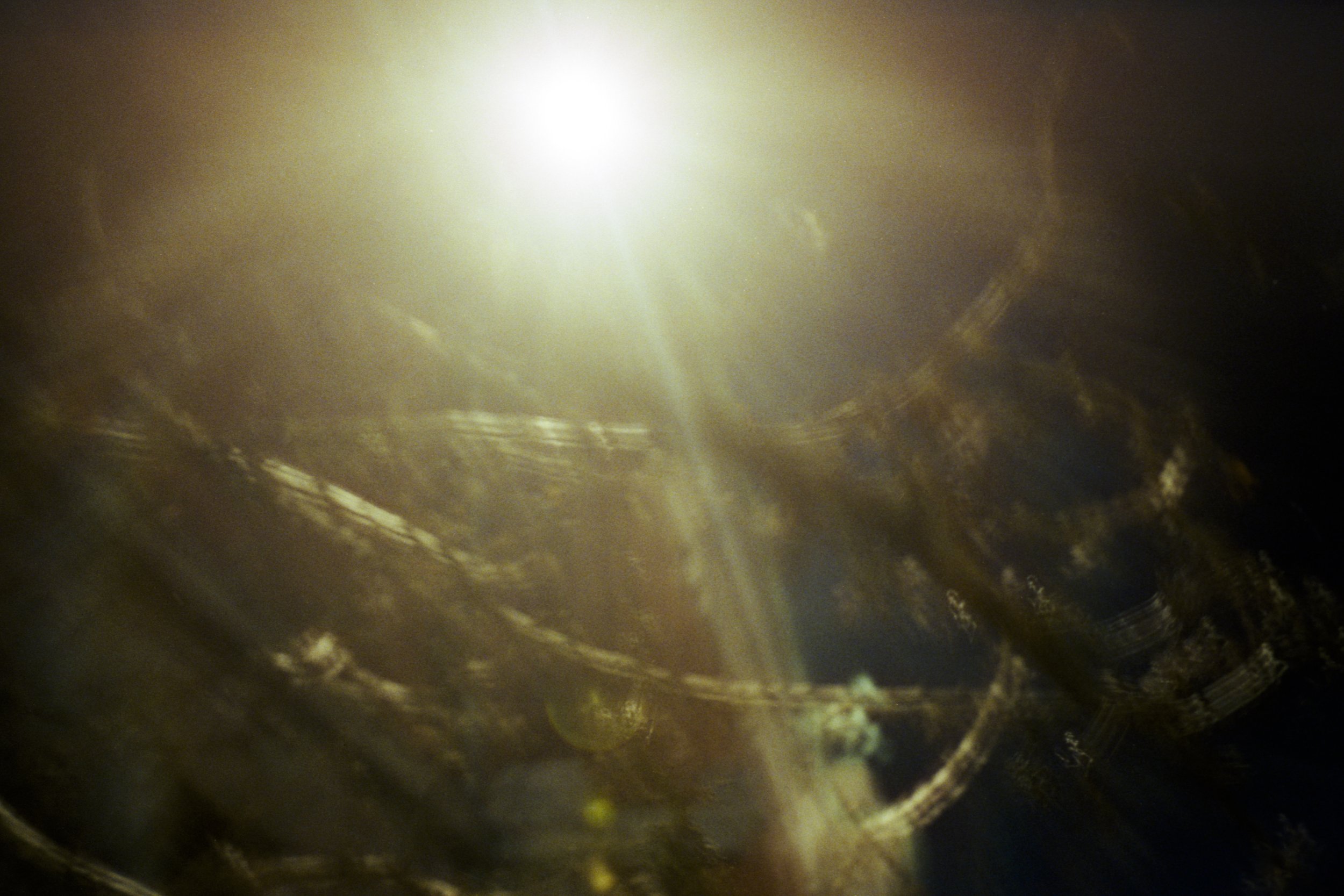 A STUDY IN BRANCHING