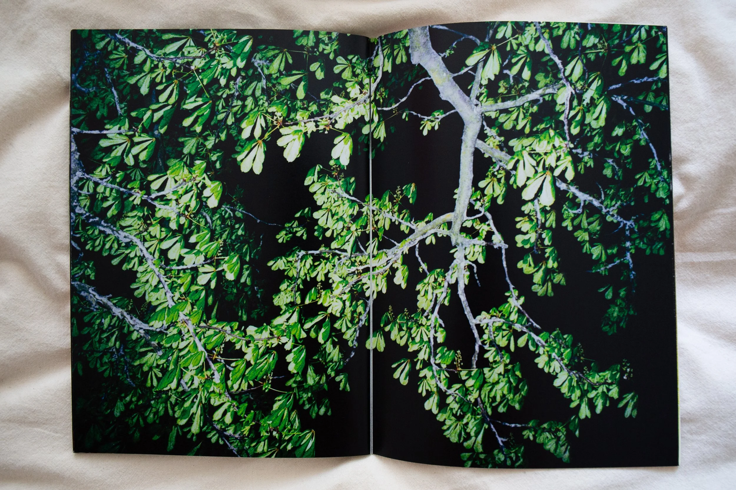 Arborescence_page-20.jpg