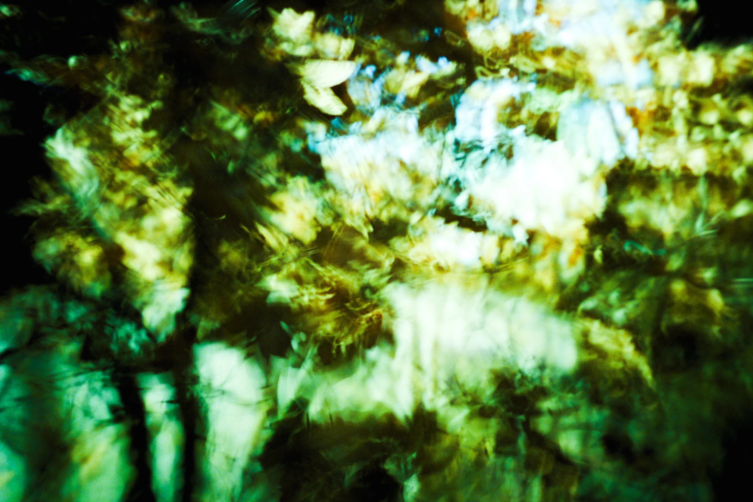 2026_IMAGINATION_ANALOG_20260319_081 copy 2.jpg
