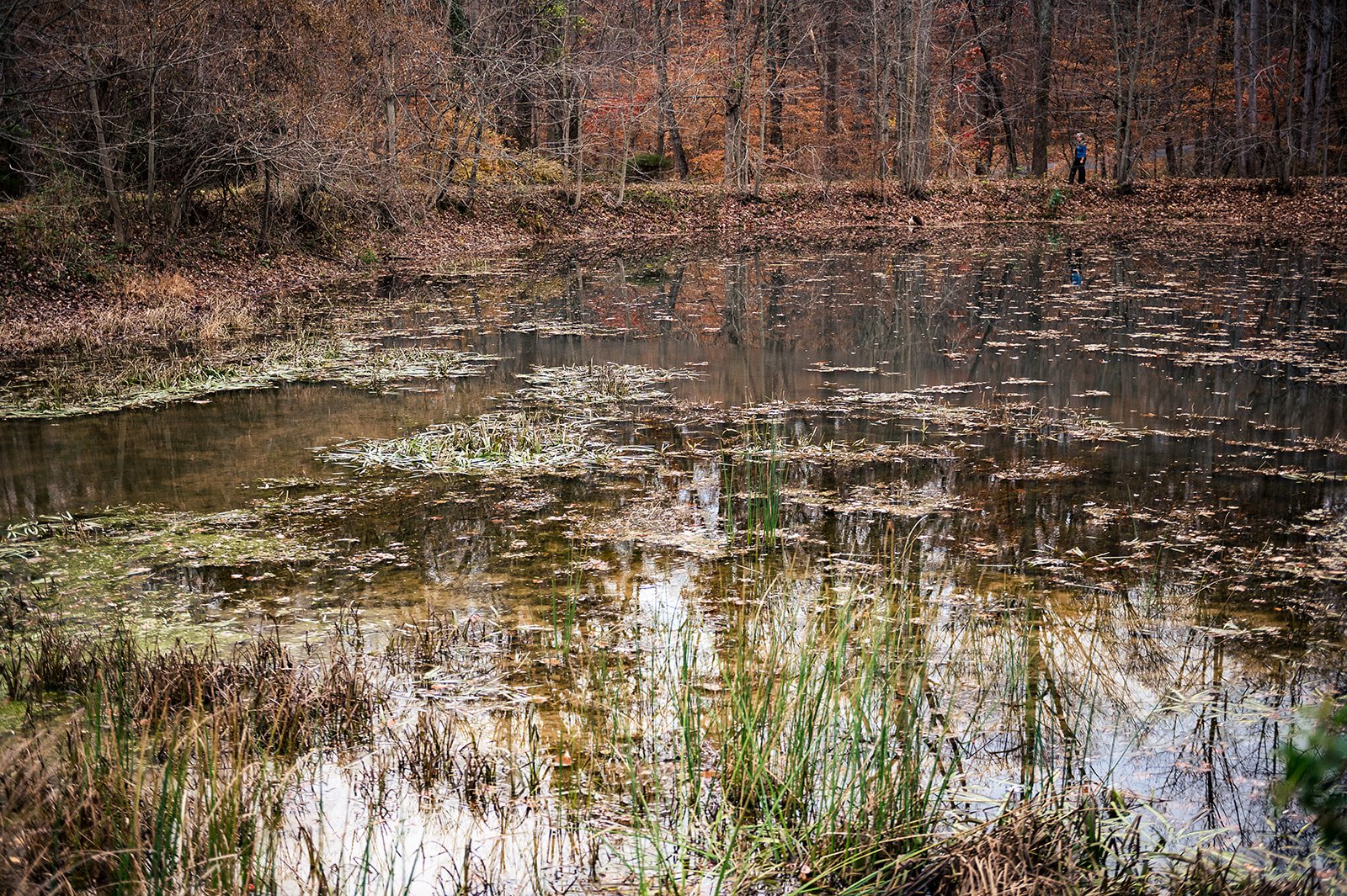 2021.11.20 Marie Personal Branding c2 10116.jpg