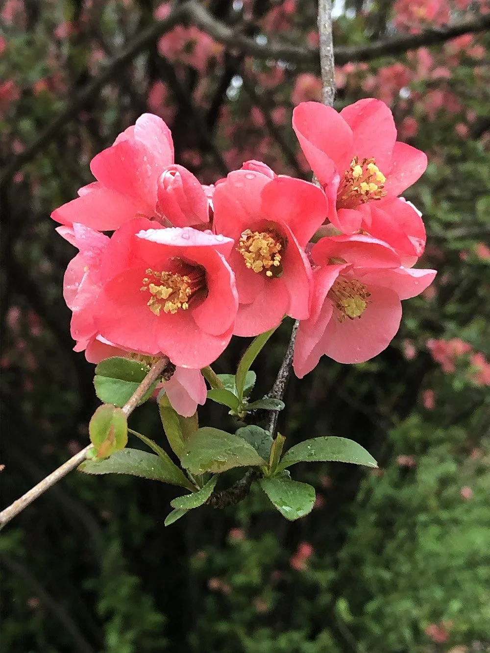 Introduction to Mindfulness