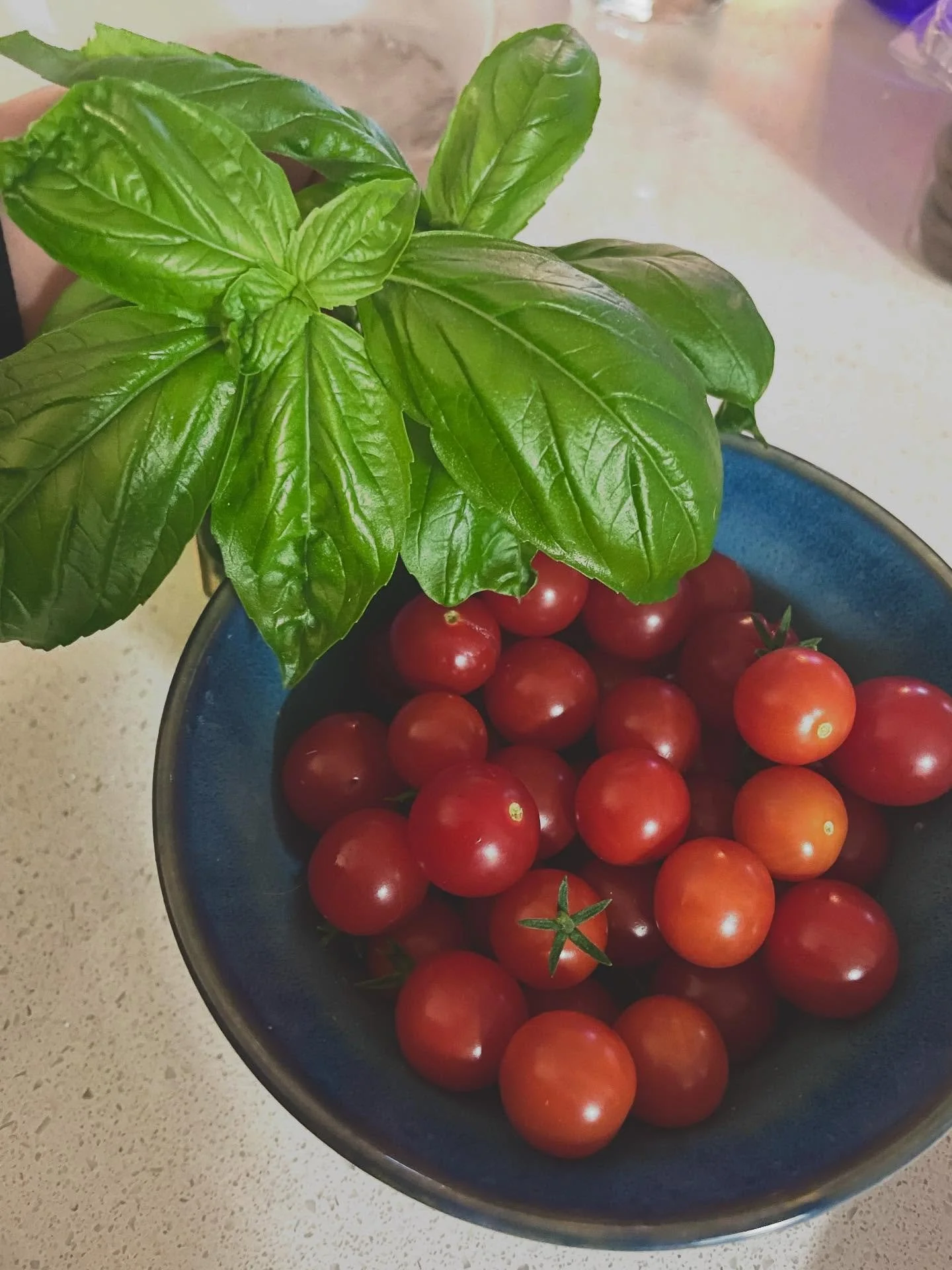 Harvest little and often. Whether it&rsquo;s a frond of dill or a whole squash, even the tiniest edible gardens can be surprisingly productive. 

Incorporate your fresh produce into every meal 💚

#EdibleGarden #BalconyToTable #GrowingFood #GrowingFo