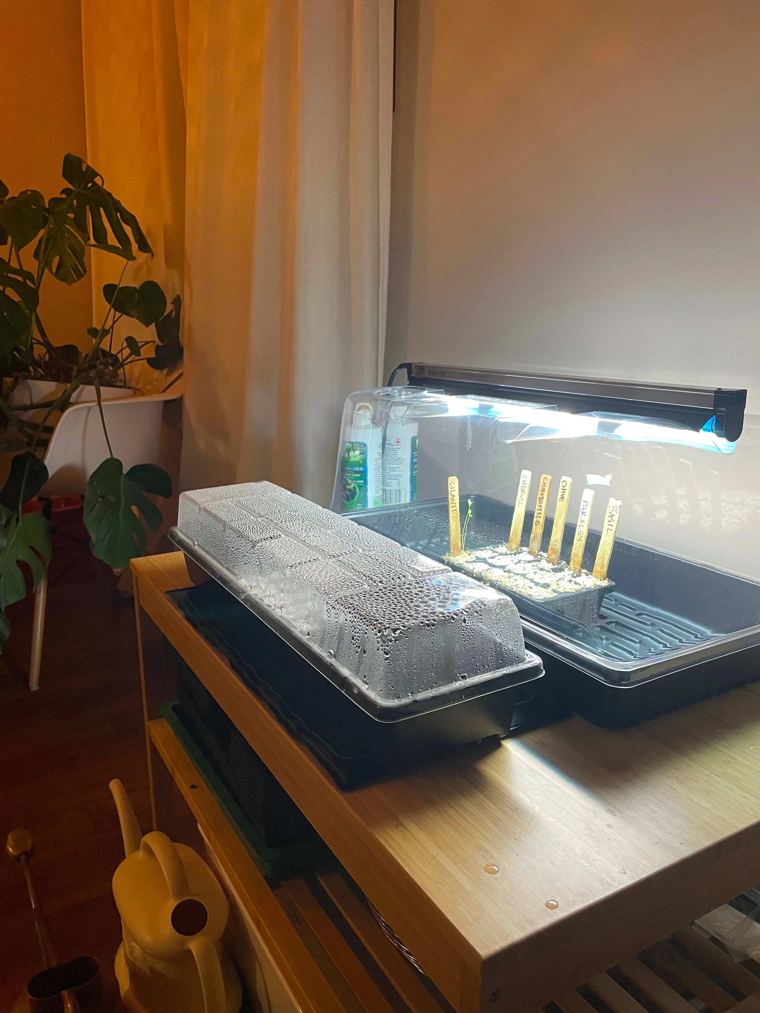 Indoor Grow Stations — Cottage Corners