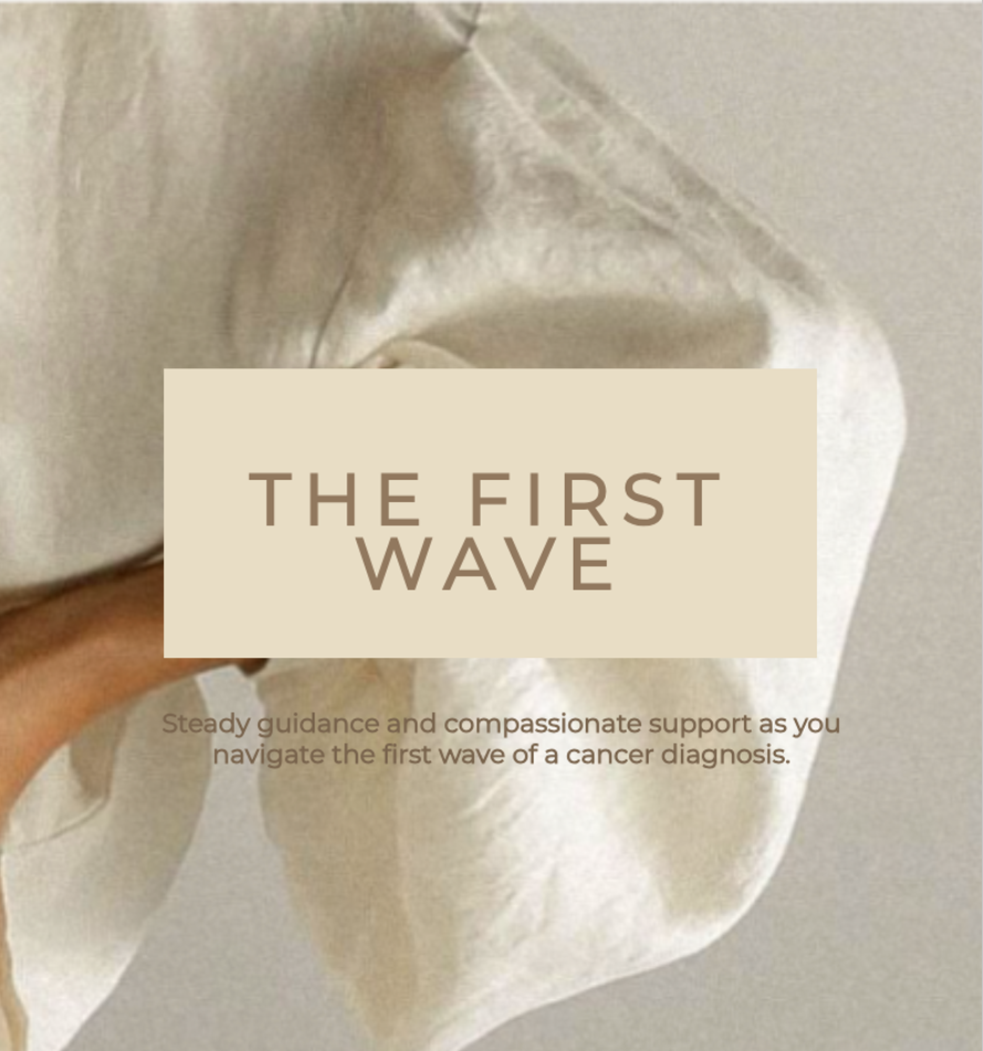 THE FIRST WAVE E BOOK