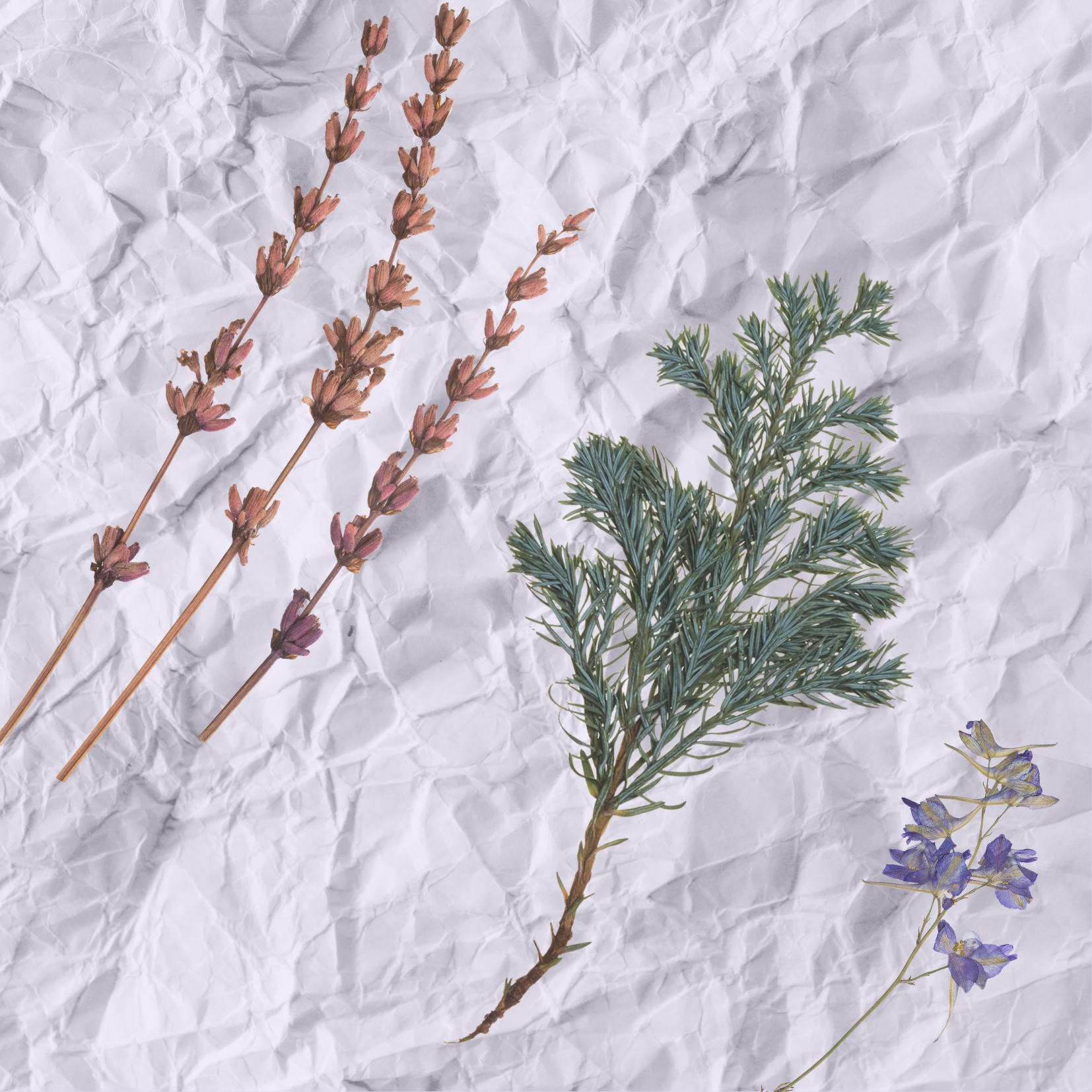 So I Wrote an ‘80s Book