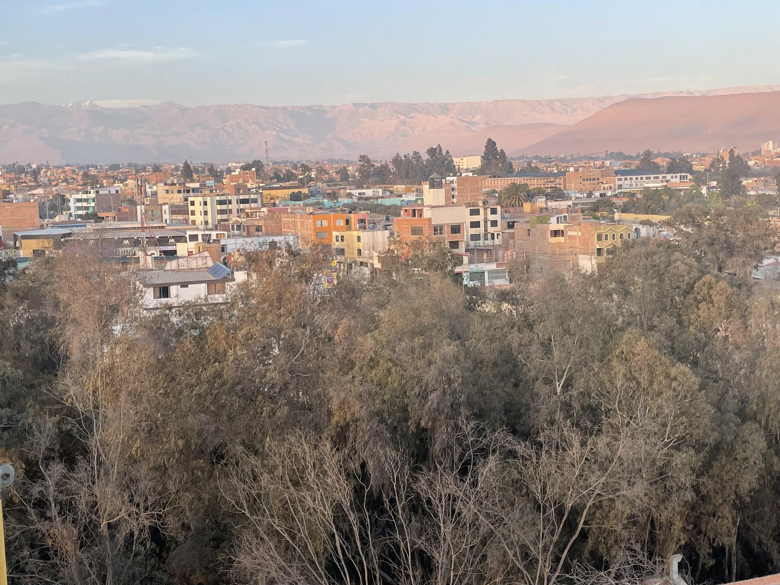 IMG_4618.jpeg