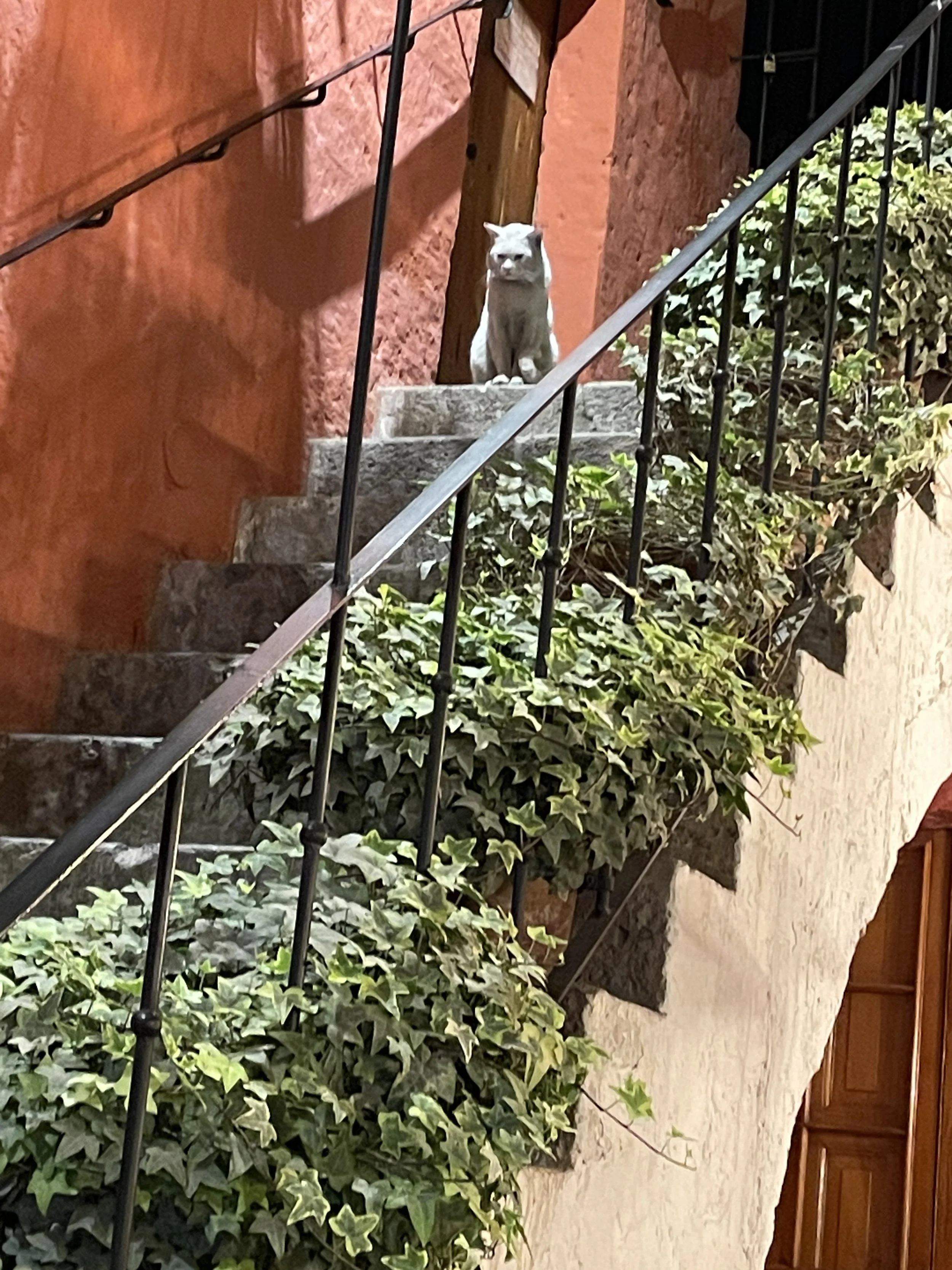 Por las Escaleras