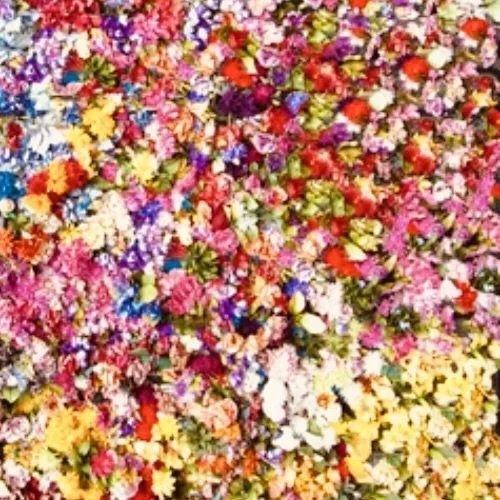 Screen Shot 2024-04-06 at 9.33.12 PM 2.jpeg