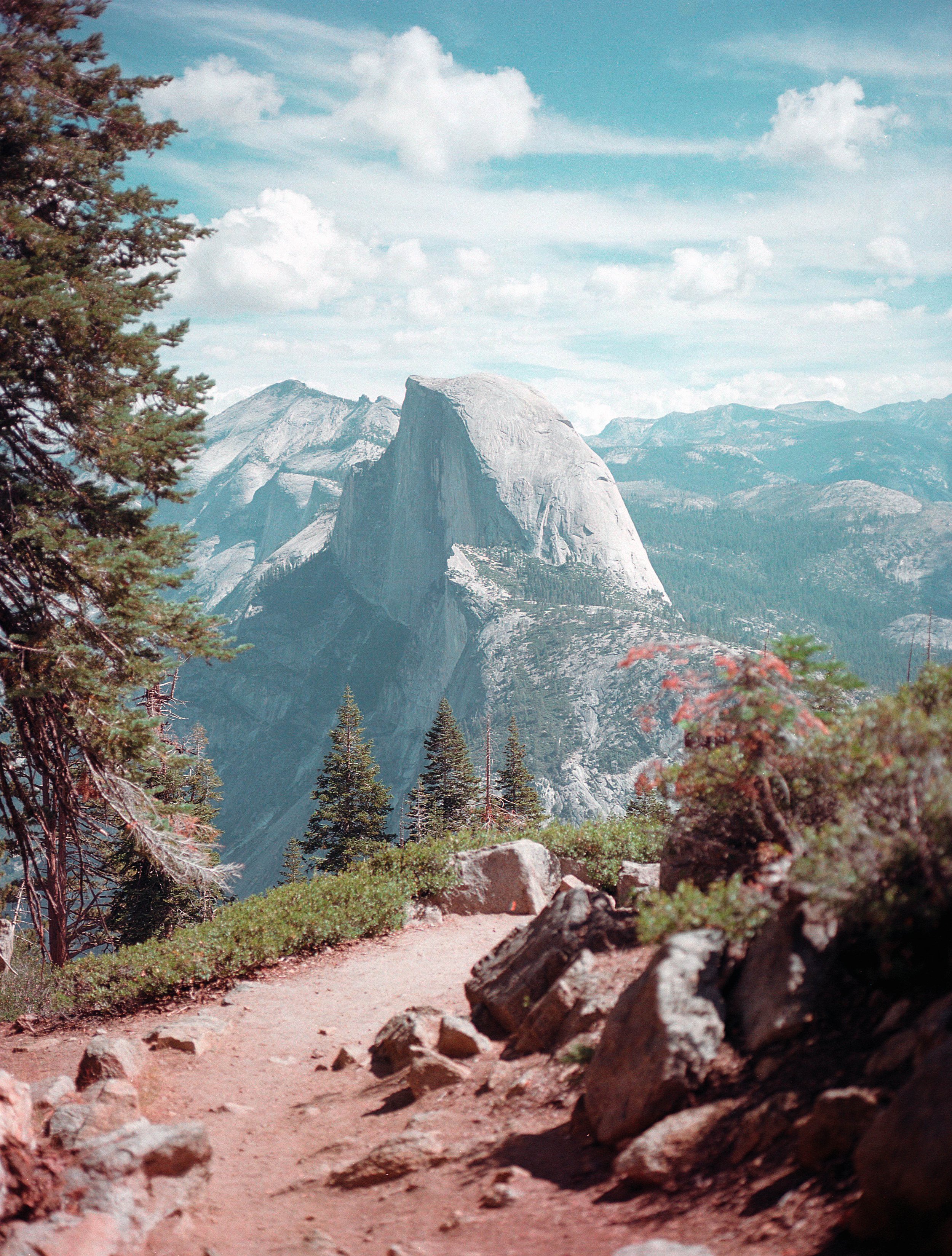 Portra160019.jpg